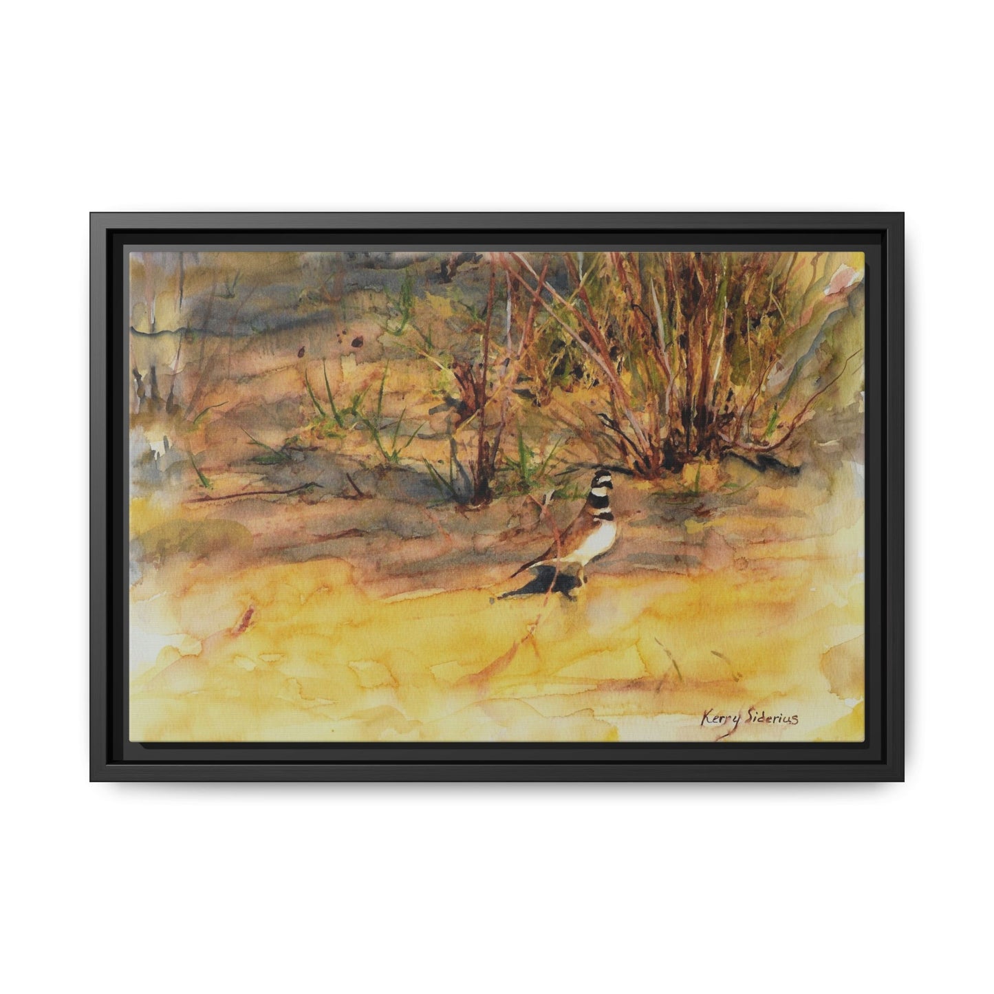 "Killdeer Male on the banks of the Columbia" Gallery Wrapped Wood Framed Canvas