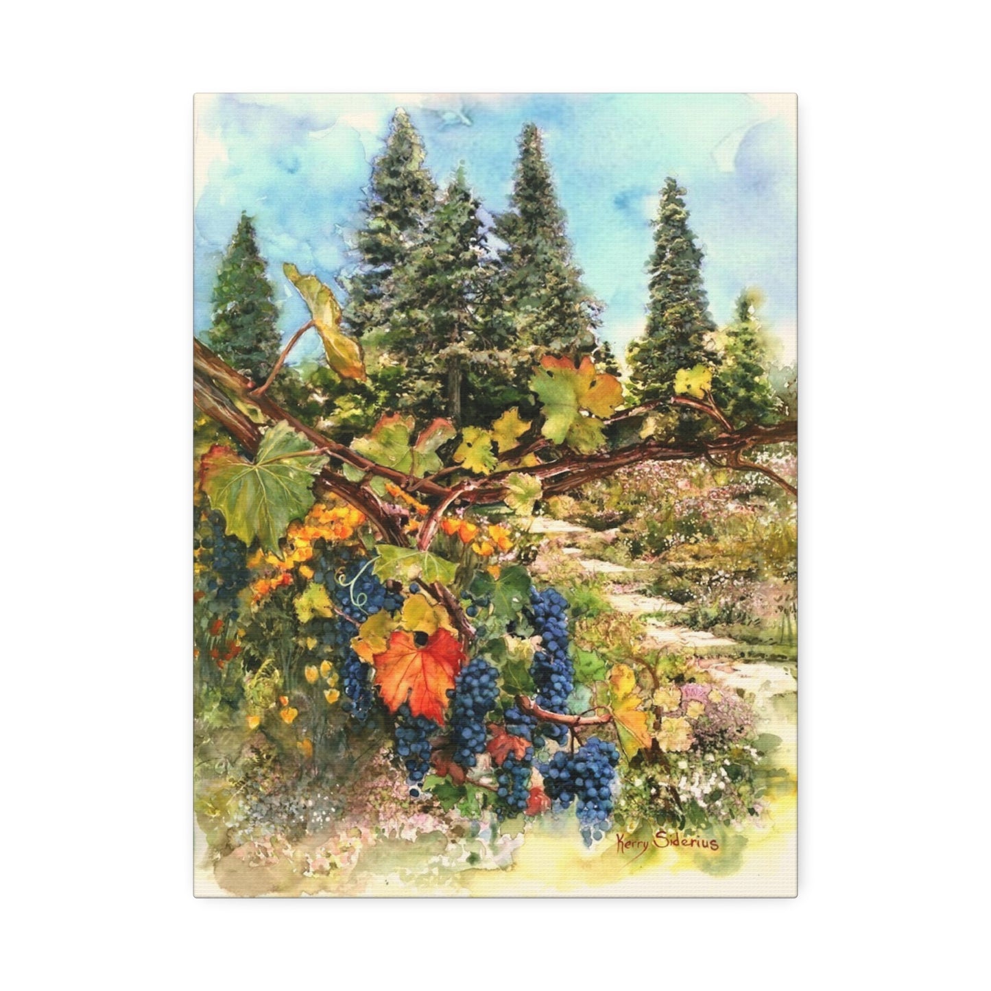"Ohme Garden's Grapevines" Gallery Wrapped Canvas - Kerry Siderius Art