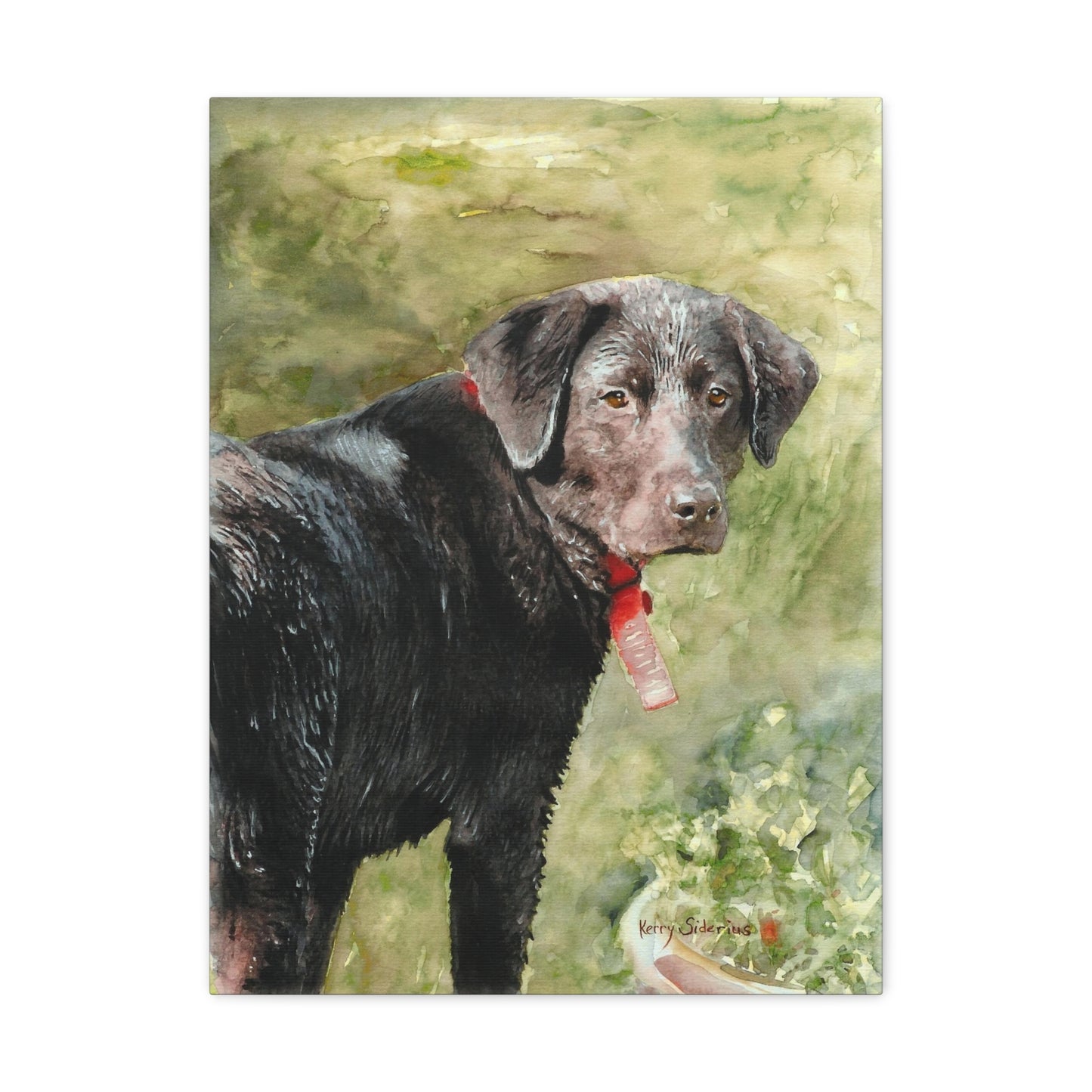 "Look Back Jack" Gallery Wrapped Canvas - Kerry Siderius Art