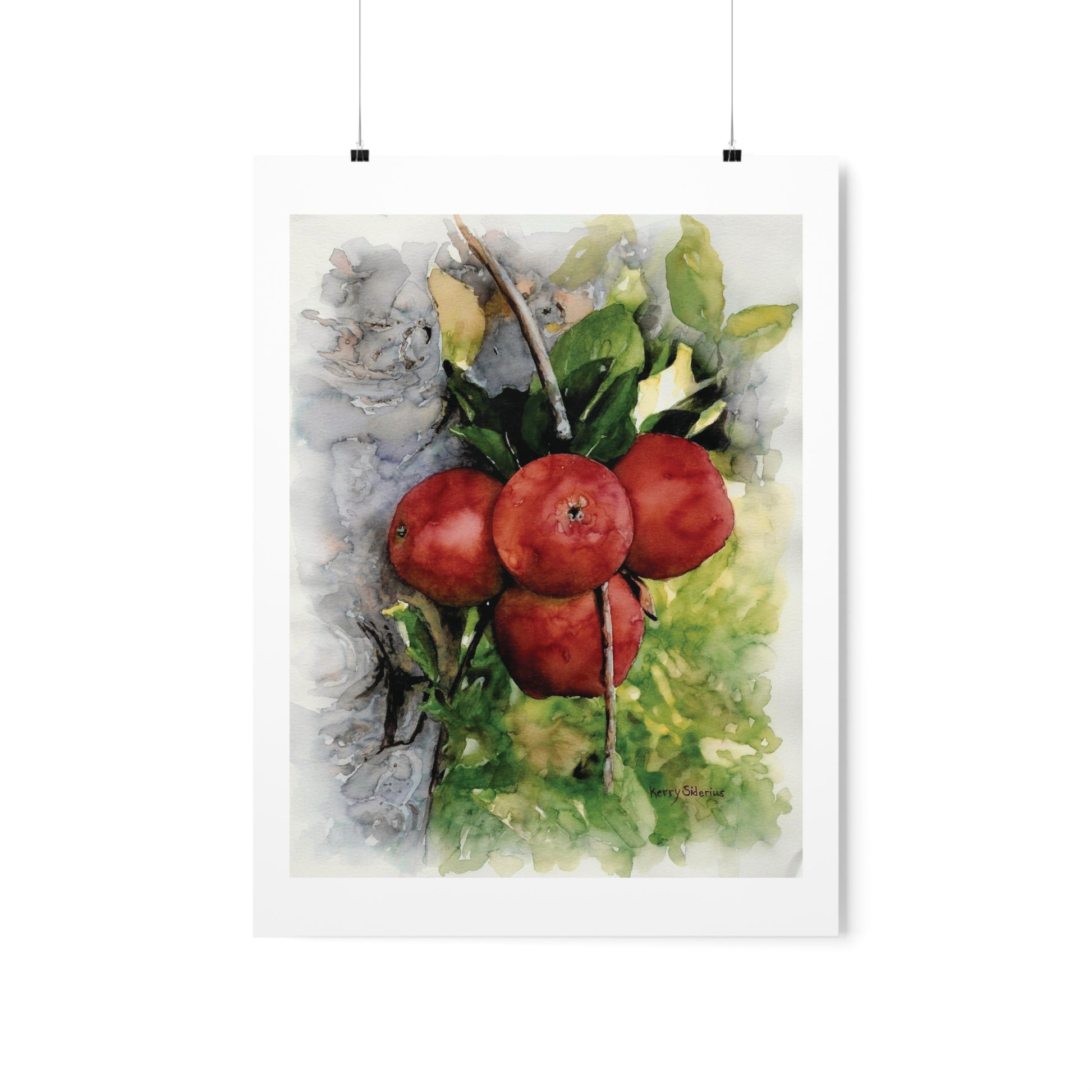 "Ripe Country Apples in Chelan" Archival Print - Kerry Siderius Art