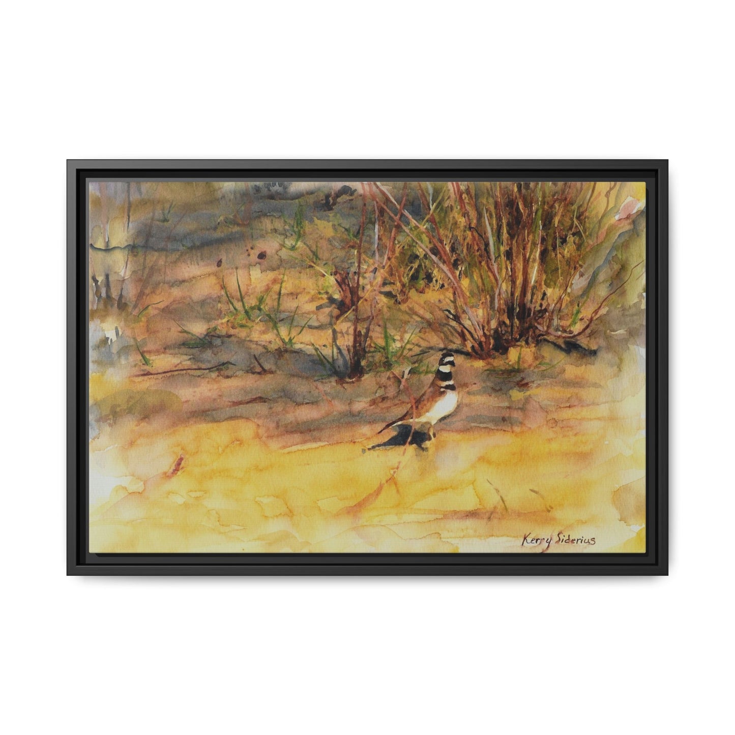 "Killdeer Male on the banks of the Columbia" Gallery Wrapped Wood Framed Canvas