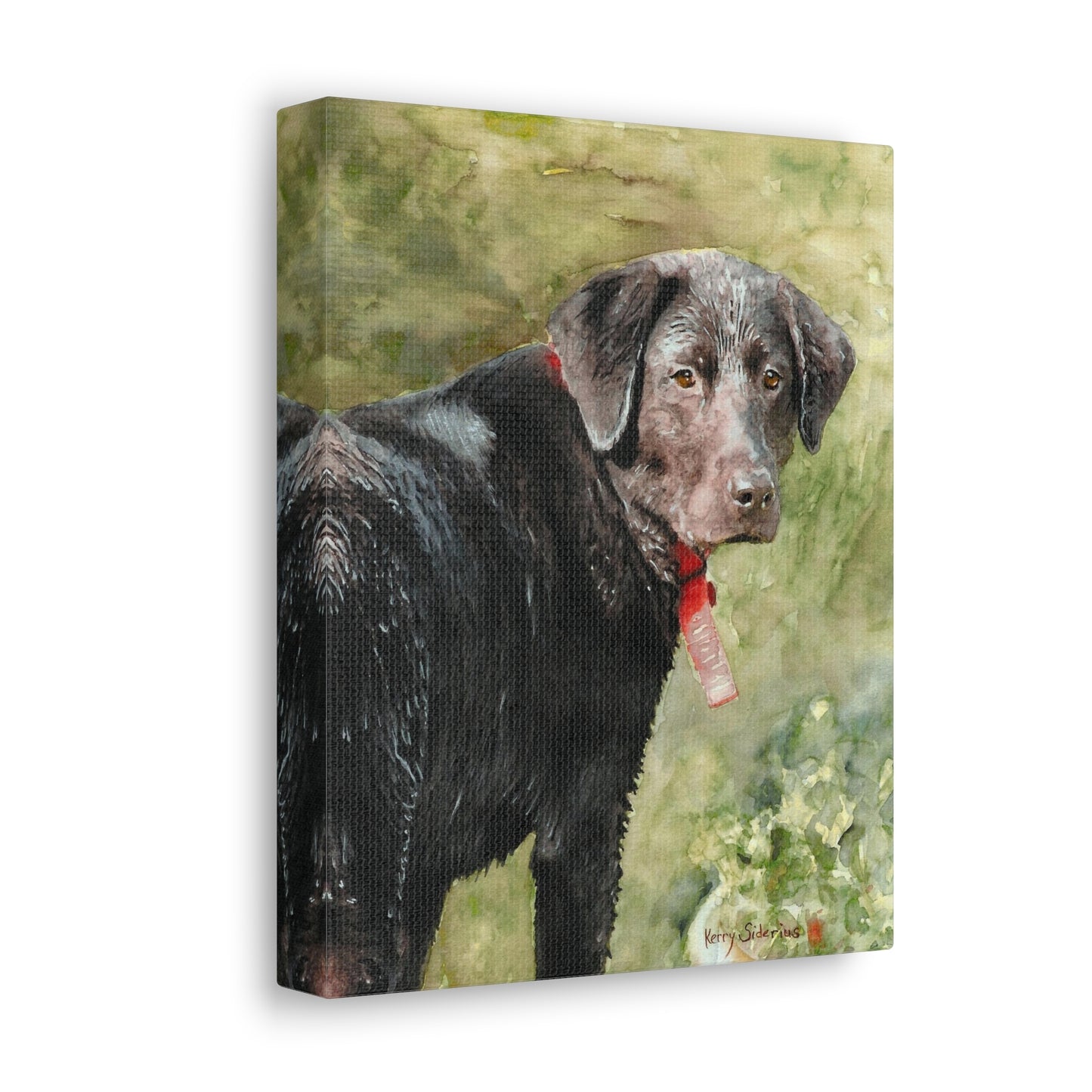 "Look Back Jack" Gallery Wrapped Canvas - Kerry Siderius Art