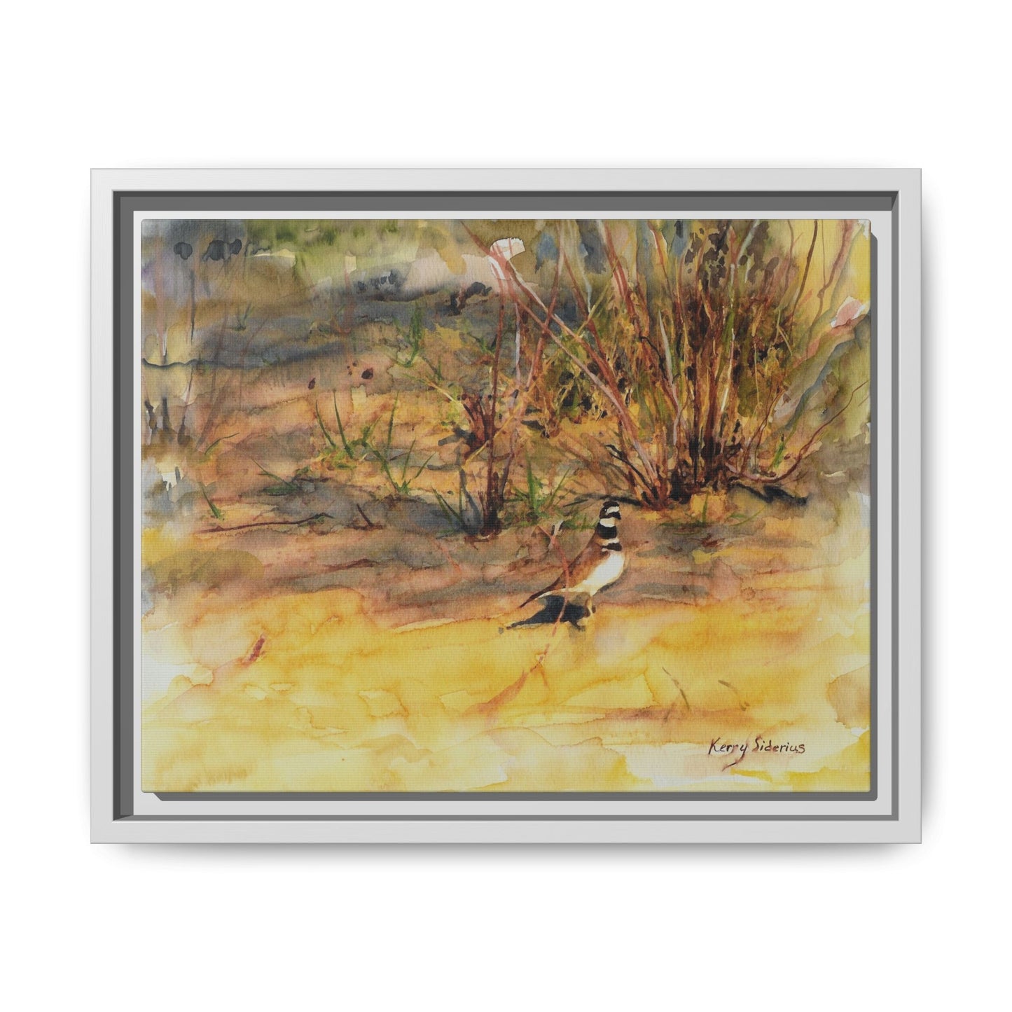 "Killdeer Male on the banks of the Columbia" Gallery Wrapped Wood Framed Canvas