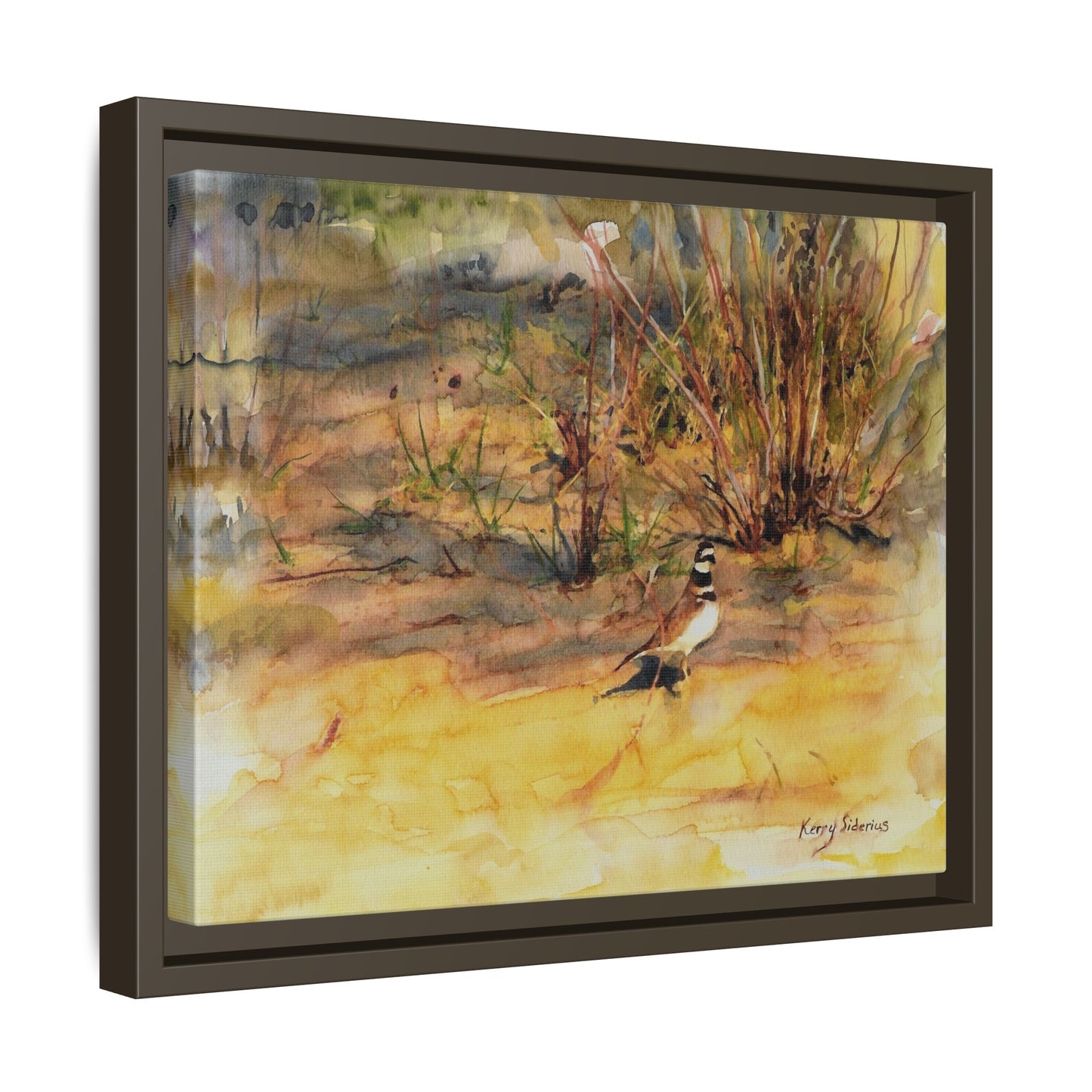 "Killdeer Male on the banks of the Columbia" Gallery Wrapped Wood Framed Canvas