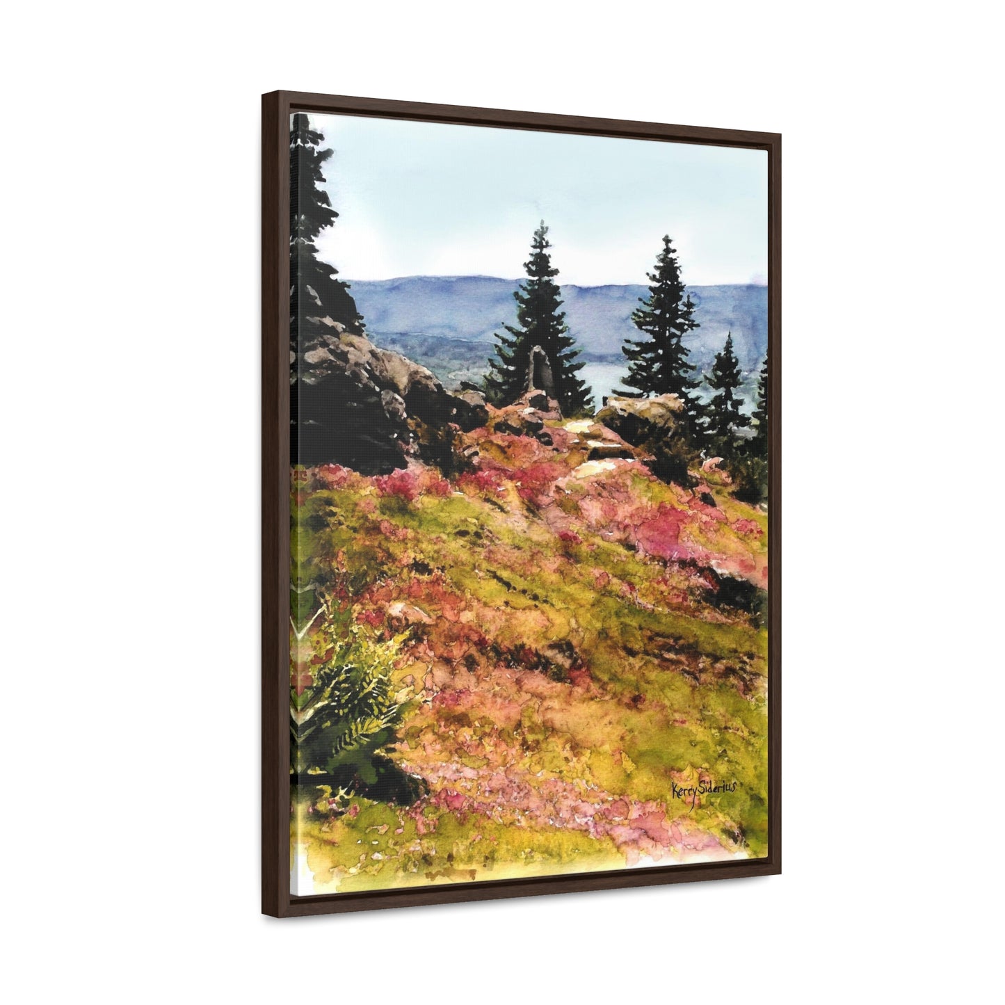"Ohme Garden Pink Bloom" Gallery Wrapped Wood-Framed Canvas - Kerry Siderius Art