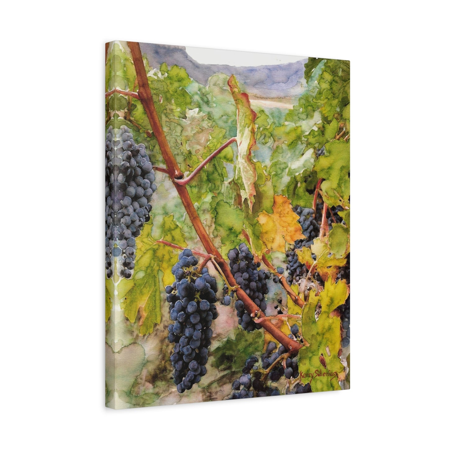 "Columbia Basin Merlot Grapes" Matte Canvas, Stretched, 1.25"