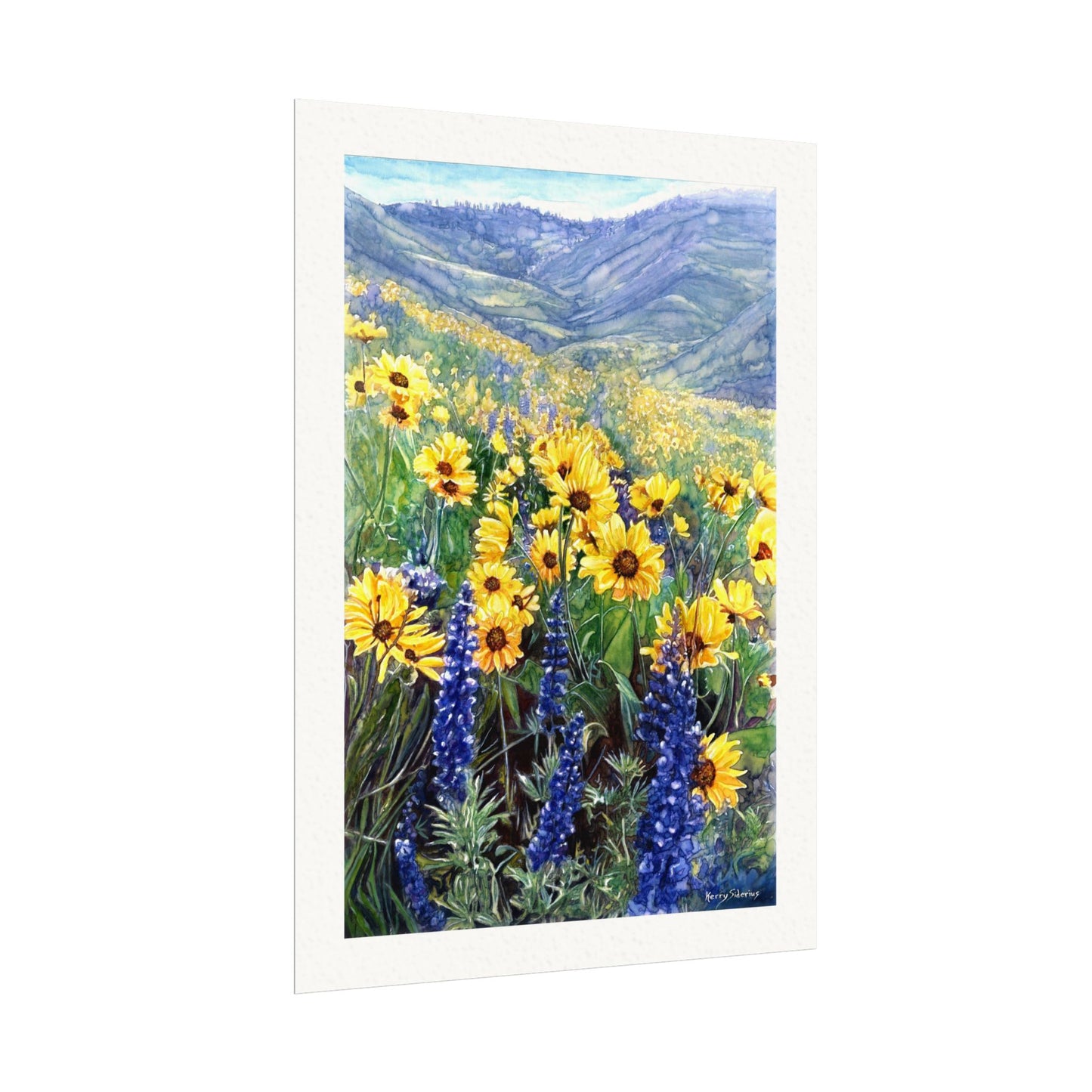 "Balsom and Lupine" Watercolor Art Prints for Home Decor, Nature Lovers, Gifting, Wall Art, Office Decor