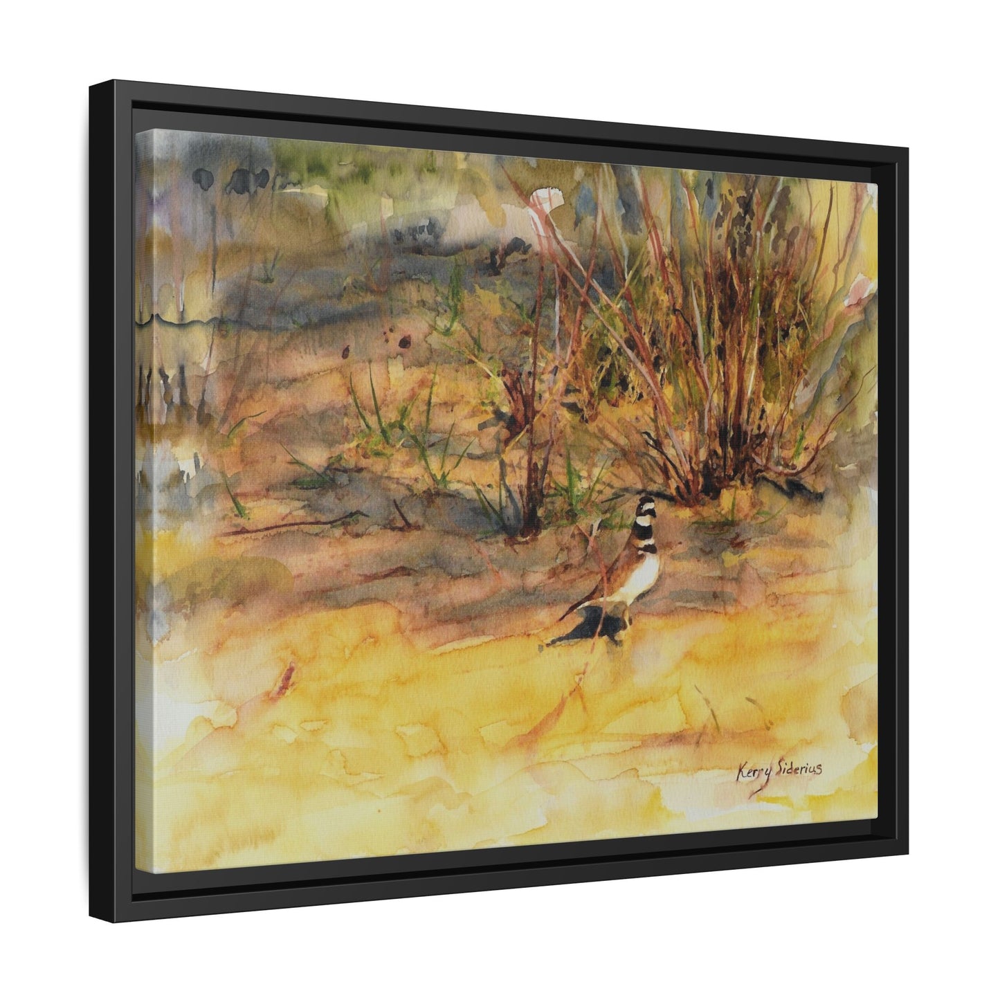 "Killdeer Male on the banks of the Columbia" Gallery Wrapped Wood Framed Canvas
