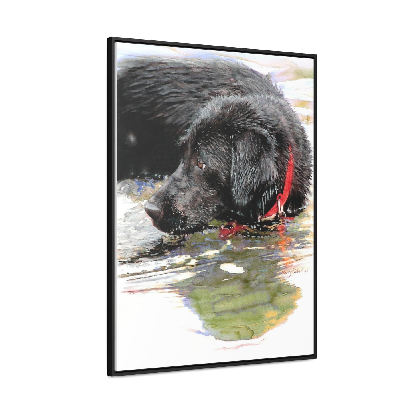 "Fishing and Fetching Black Lab, Chelan" Framed Gallery Wrapped Canvas - Kerry Siderius Art