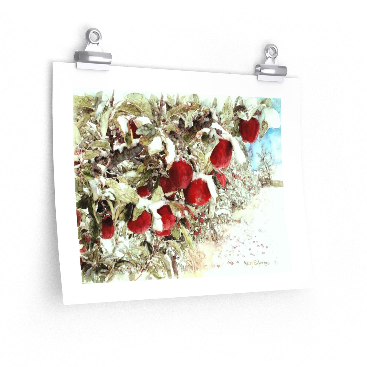 "Apples in the Snow" Poster Print Archival Paper - Kerry Siderius Art