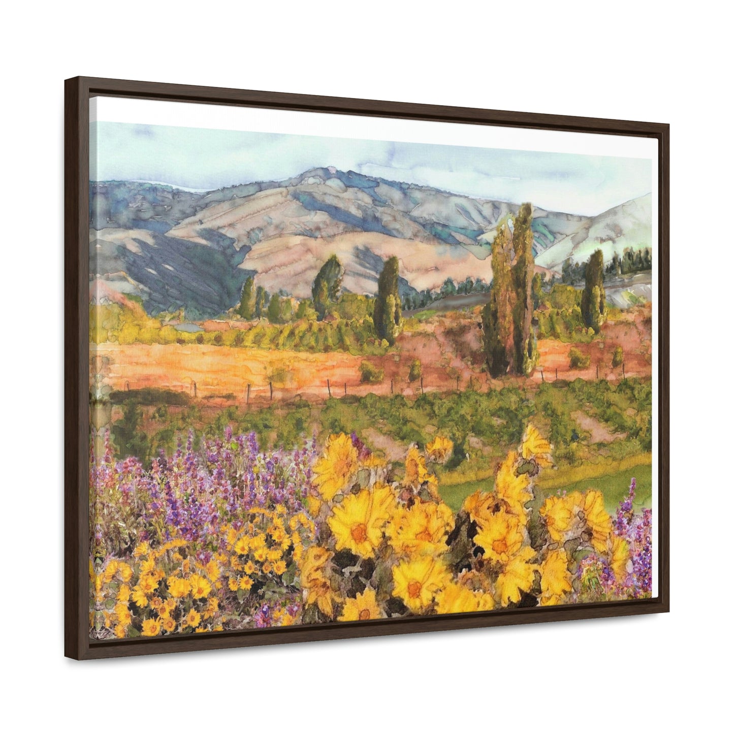 "Chelan Vineyard with Balsom" Wood-Framed Gallery Canvas Wrap - Kerry Siderius Art