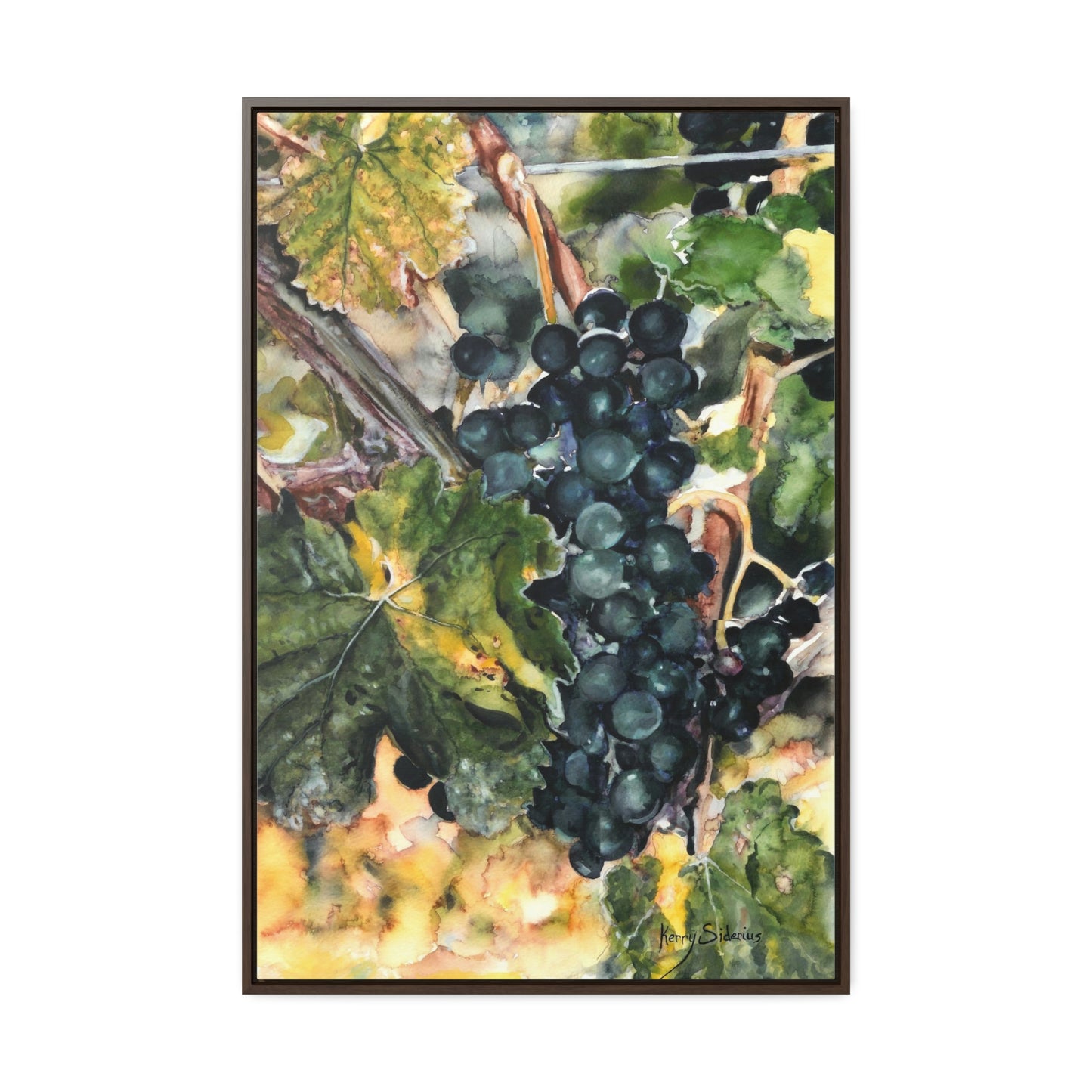 "Merlot Grapes in Manson" Gallery Wrapped Wood Framed Canvas - Kerry Siderius Art