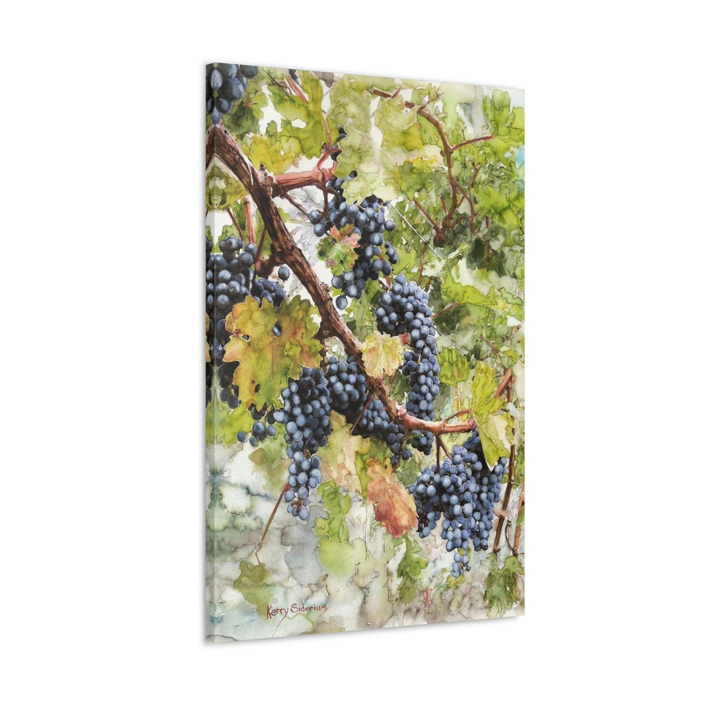 "Walking Through The Vines" Gallery Wrapped Canvas - Kerry Siderius Art