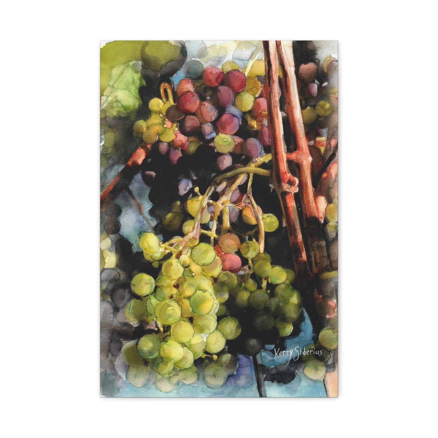 "Wine Grapes Getting Some Color" Matte Canvas, Stretched, 1.25" - Kerry Siderius Art