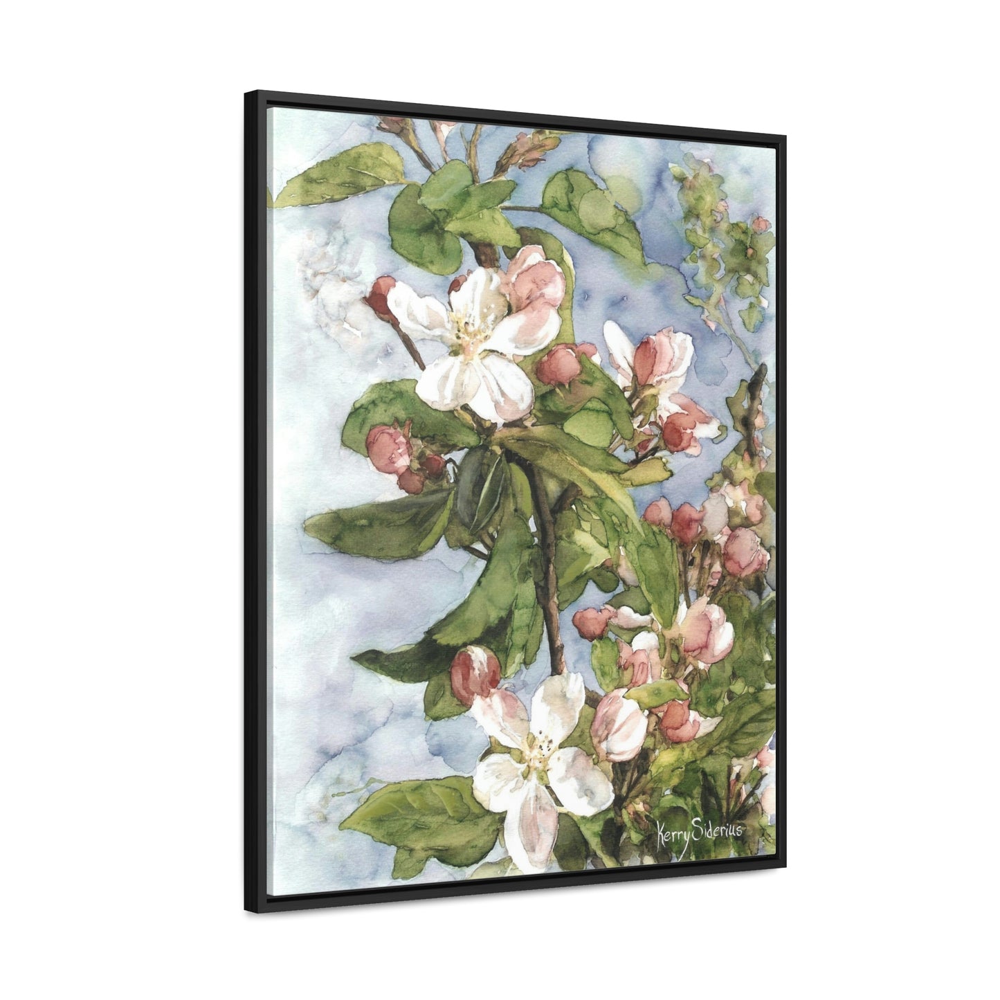 "Wenatchee Apple Blossoms" Gallery Wrapped Wood Framed Canvas (Walnut & Black) - Kerry Siderius Art