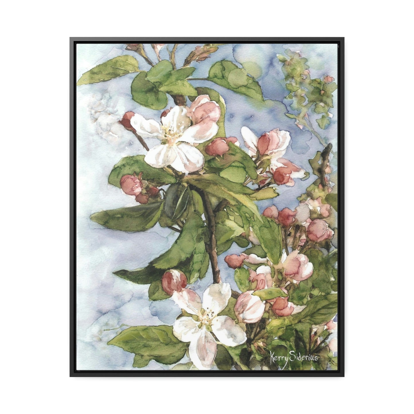 "Wenatchee Apple Blossoms" Gallery Wrapped Wood Framed Canvas (Walnut & Black) - Kerry Siderius Art