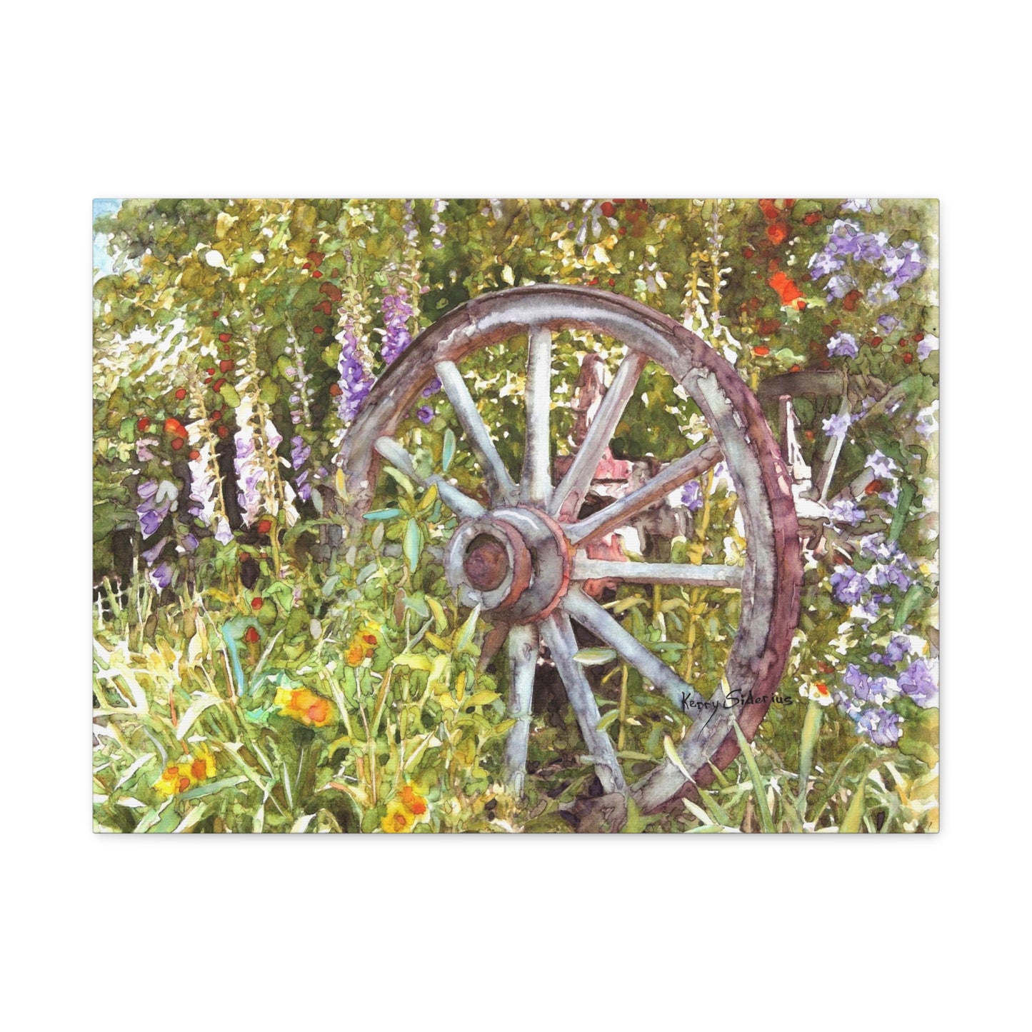 "Wagon Wheel" Gallery Wrapped Canvas - Kerry Siderius Art