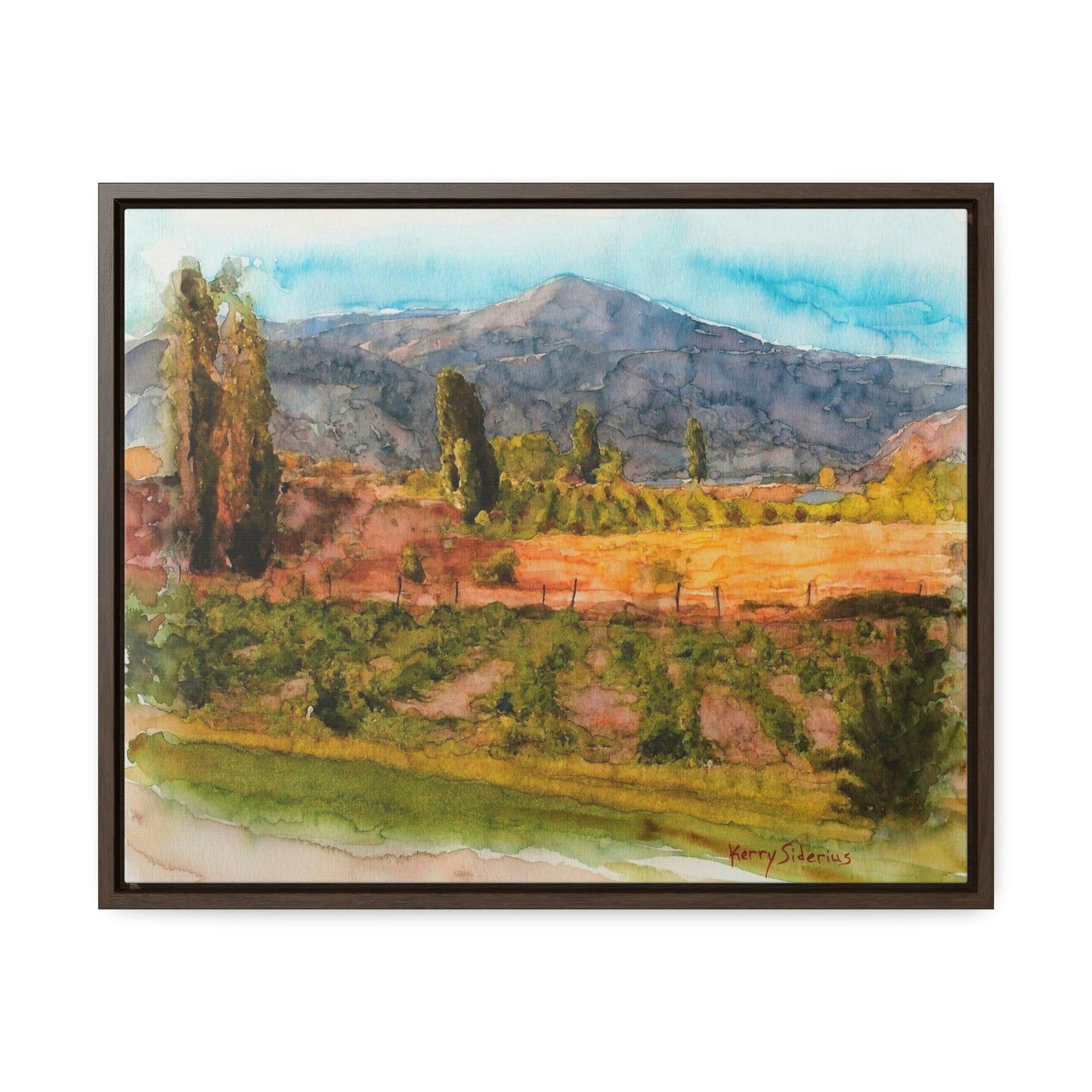 "Vineyard Near Chelan Falls" Gallery Wrapped Wood Framed Canvas - Kerry Siderius Art
