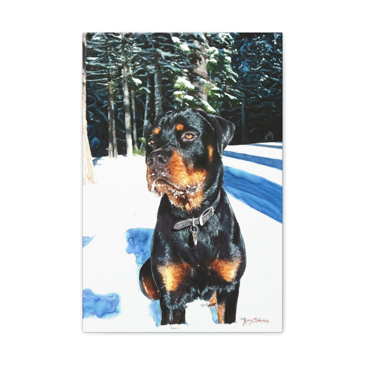 "Rottweiler in the Snow" Gallery Wrapped Canvas - Kerry Siderius Art