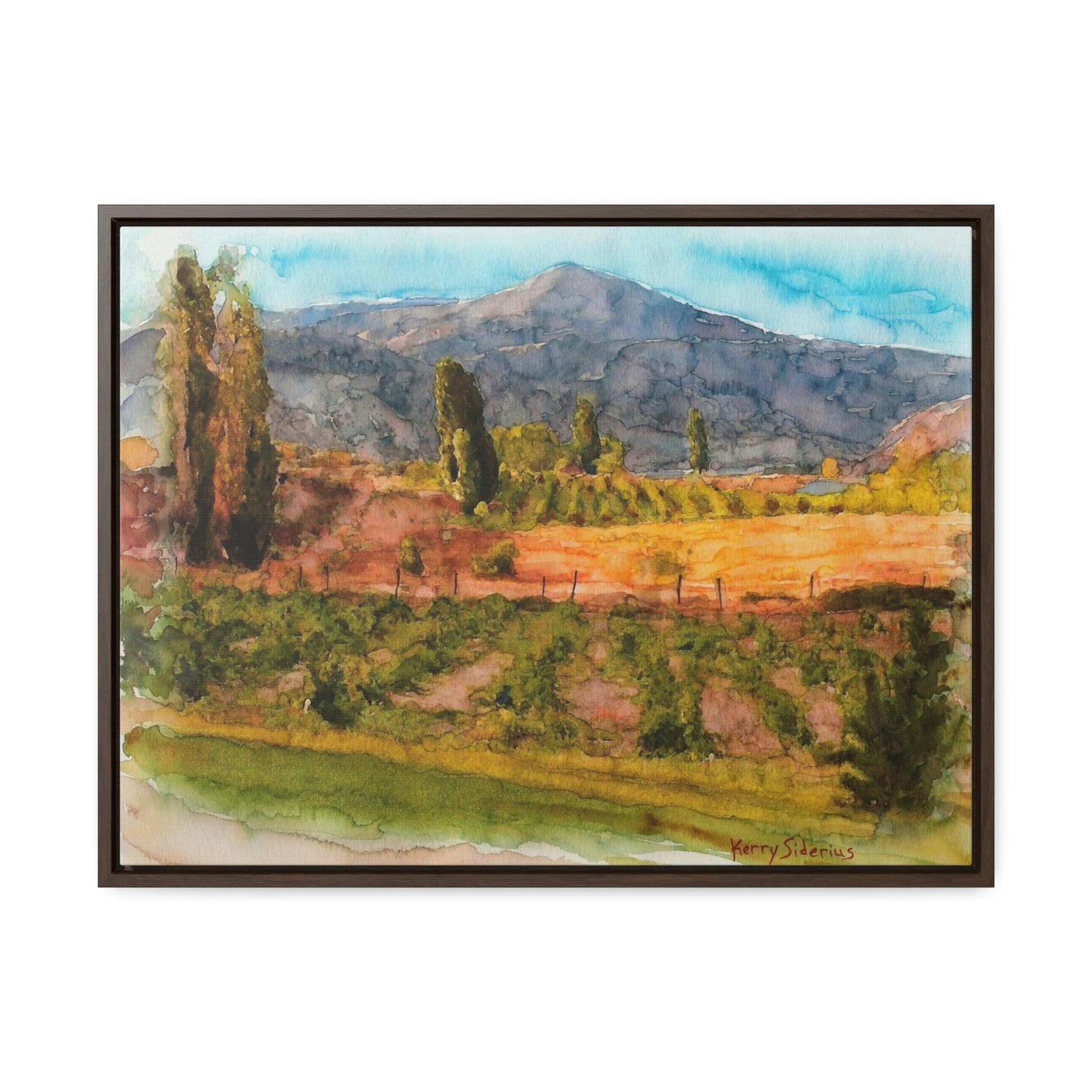 "Vineyard Near Chelan Falls" Gallery Wrapped Wood Framed Canvas - Kerry Siderius Art