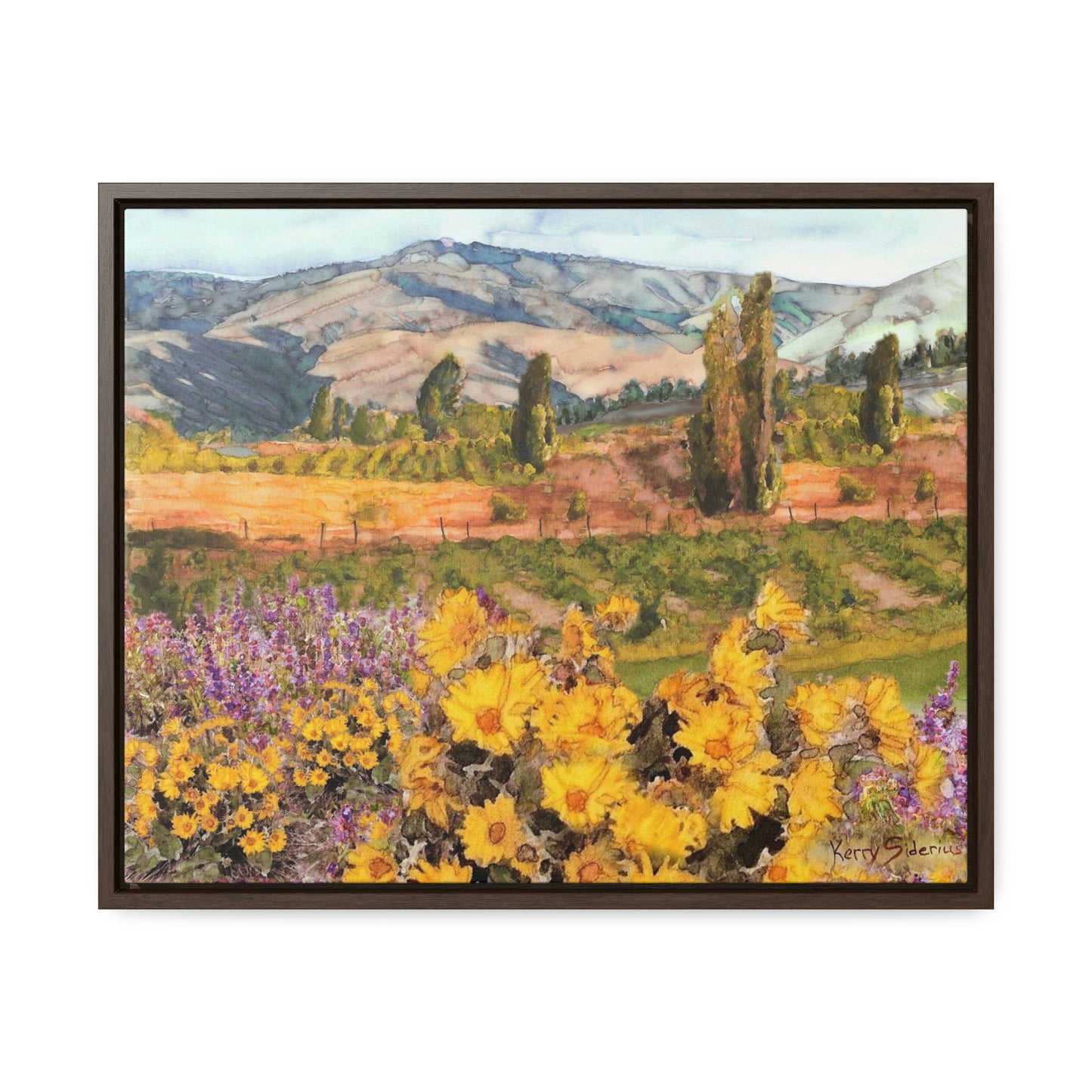 "Chelan Vineyard with Balsom" Wood-Framed Gallery Canvas Wrap - Kerry Siderius Art