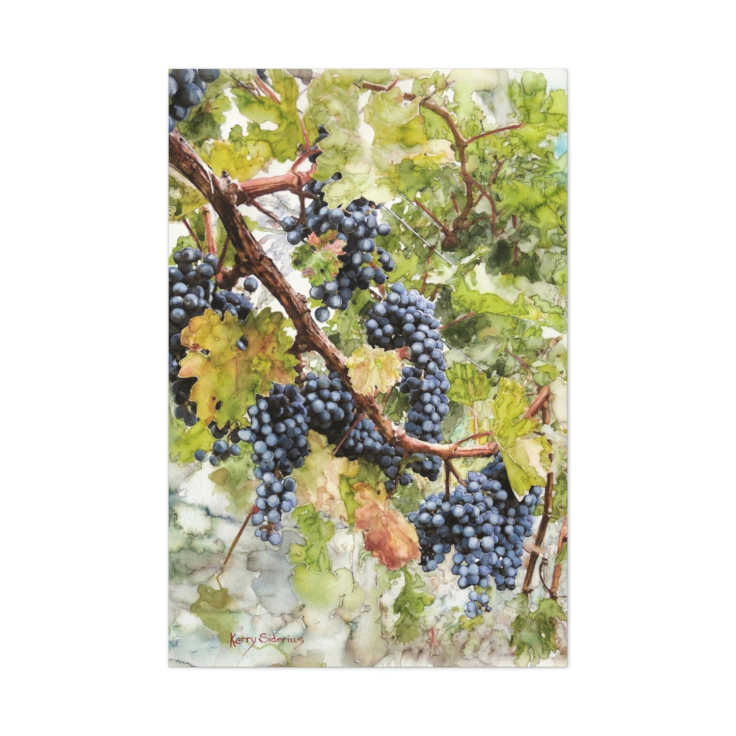 "Walking Through The Vines" Gallery Wrapped Canvas - Kerry Siderius Art