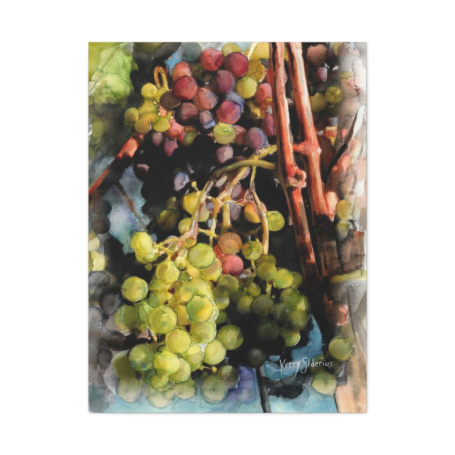 "Wine Grapes Getting Some Color" Matte Canvas, Stretched, 1.25" - Kerry Siderius Art