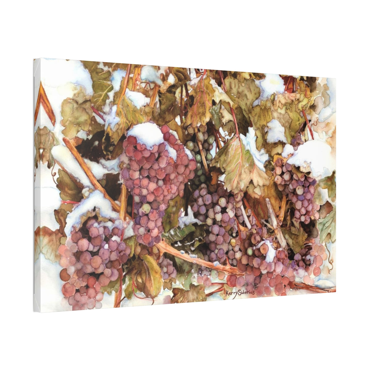 "Snowy Grapes in Chelan" Canvas (6 Sizes Available) - Kerry Siderius Art