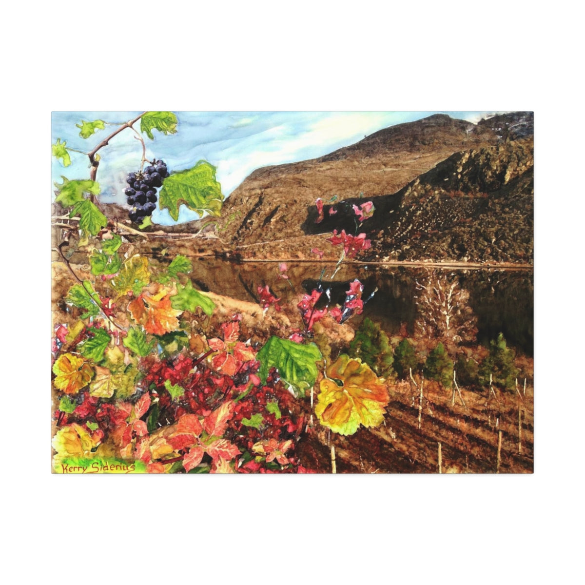 "Last Cluster of Grapes with Columbia Reflection" Canvas Stretched, 1.5'' - Kerry Siderius Art