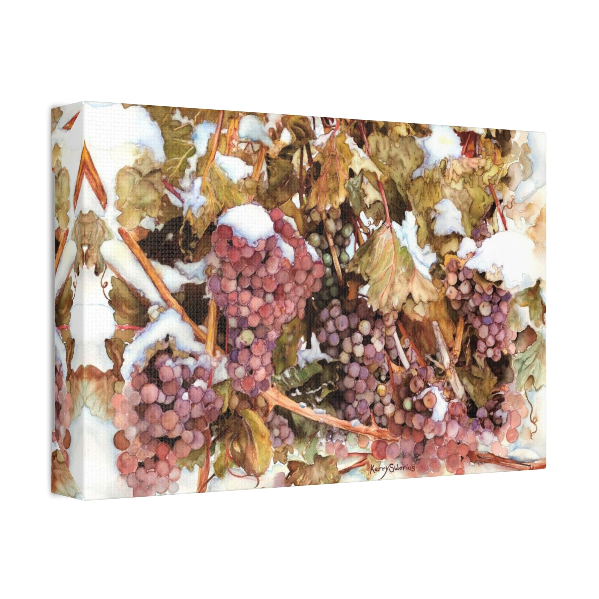 "Snowy Grapes in Chelan" Canvas (6 Sizes Available) - Kerry Siderius Art