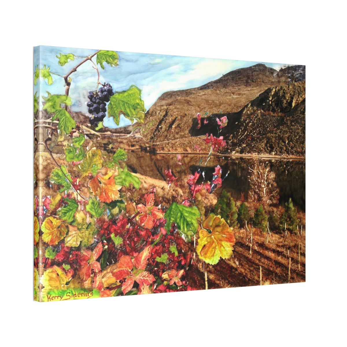 "Last Cluster of Grapes with Columbia Reflection" Canvas Stretched, 1.5'' - Kerry Siderius Art