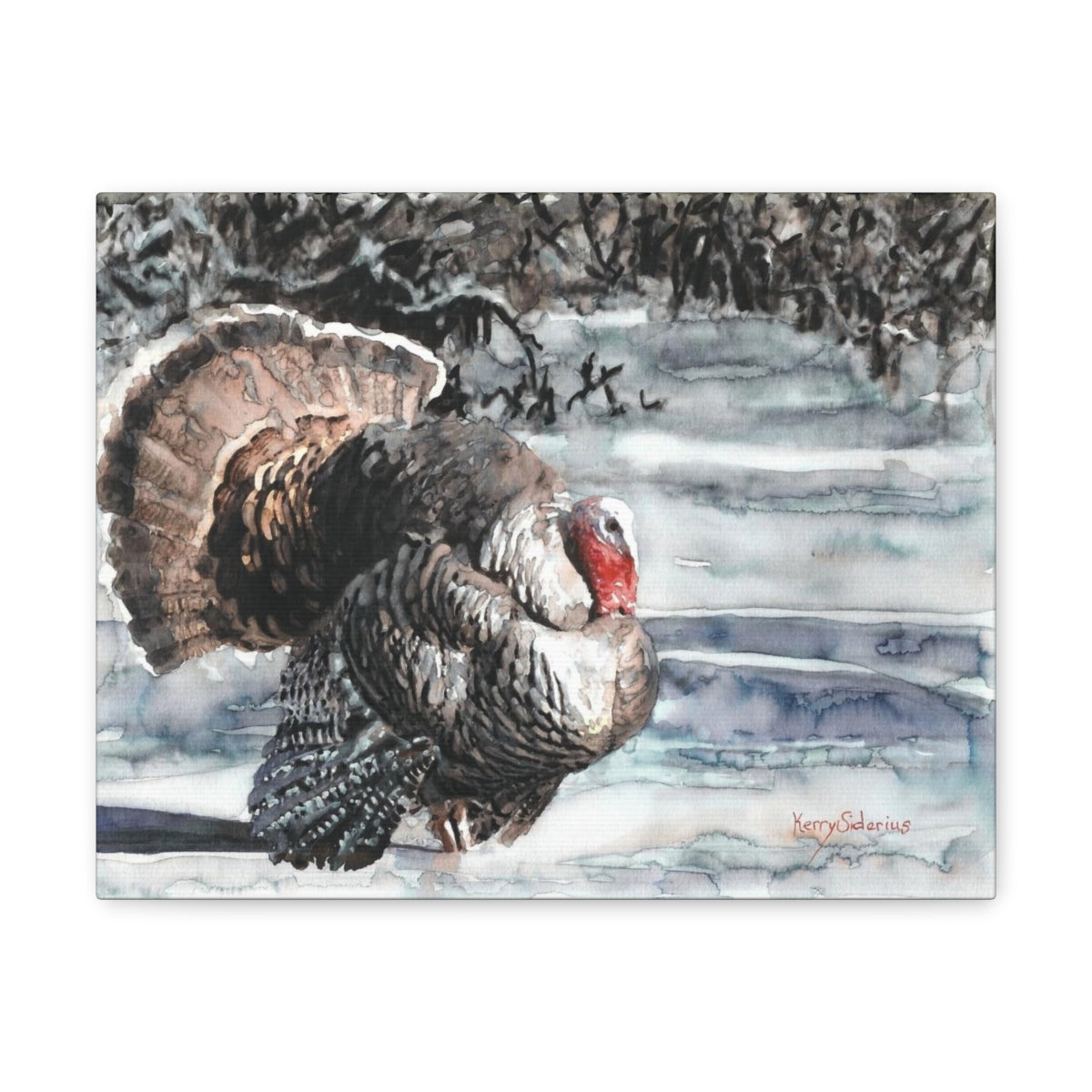 "Wild Turkey in the Snow" Canvas Gallery Wrap - Kerry Siderius Art