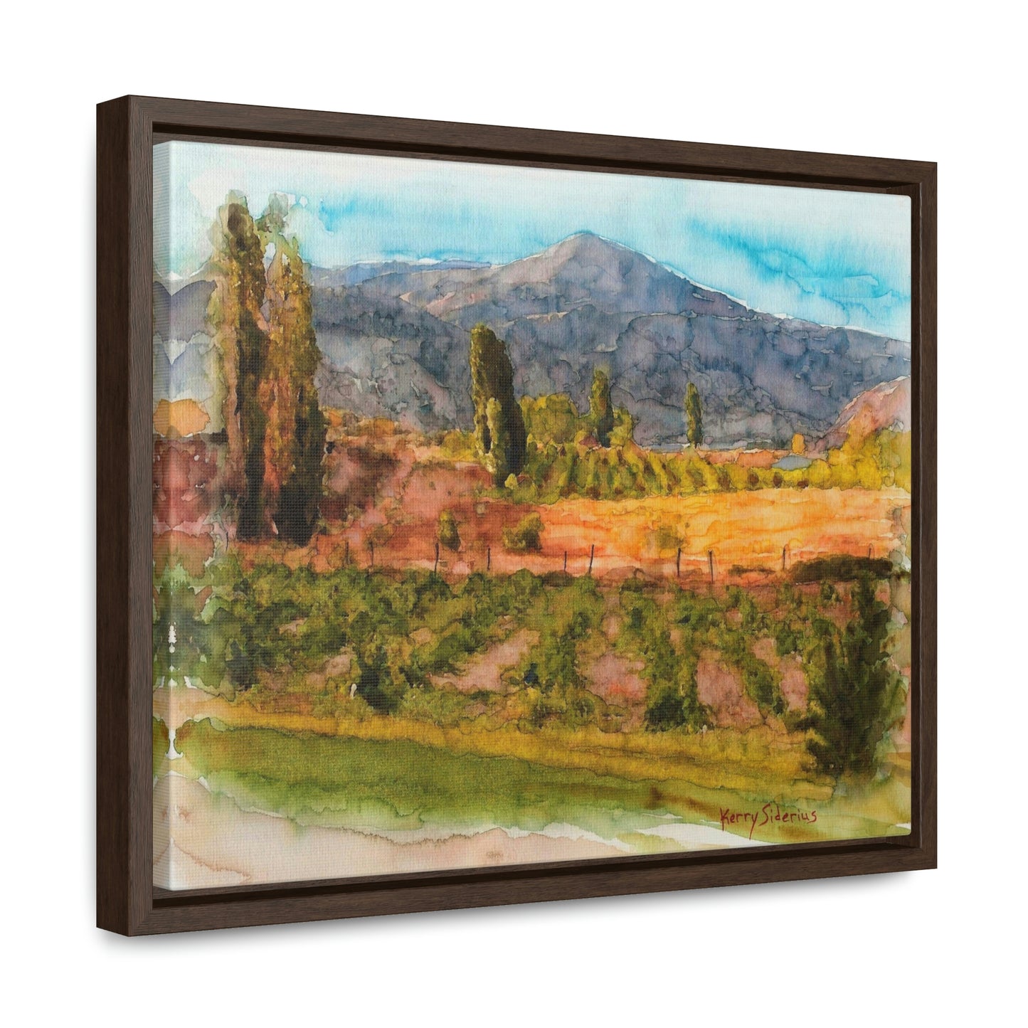 "Vineyard Near Chelan Falls" Gallery Wrapped Wood Framed Canvas - Kerry Siderius Art