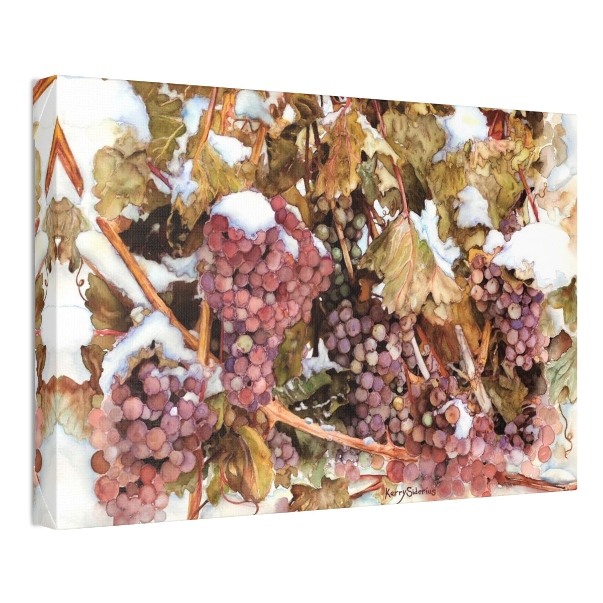 "Snowy Grapes in Chelan" Canvas (6 Sizes Available) - Kerry Siderius Art