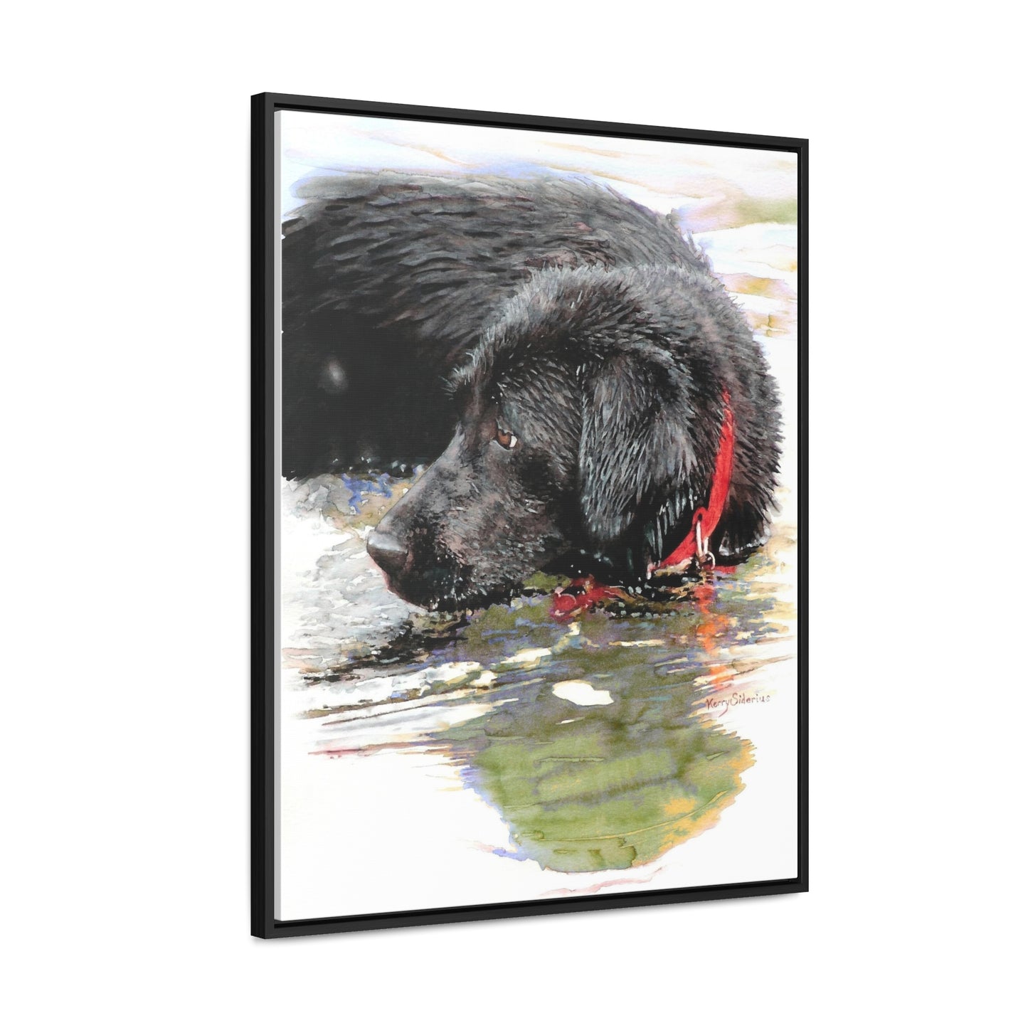 "Fishing and Fetching Black Lab, Chelan" Framed Gallery Wrapped Canvas - Kerry Siderius Art