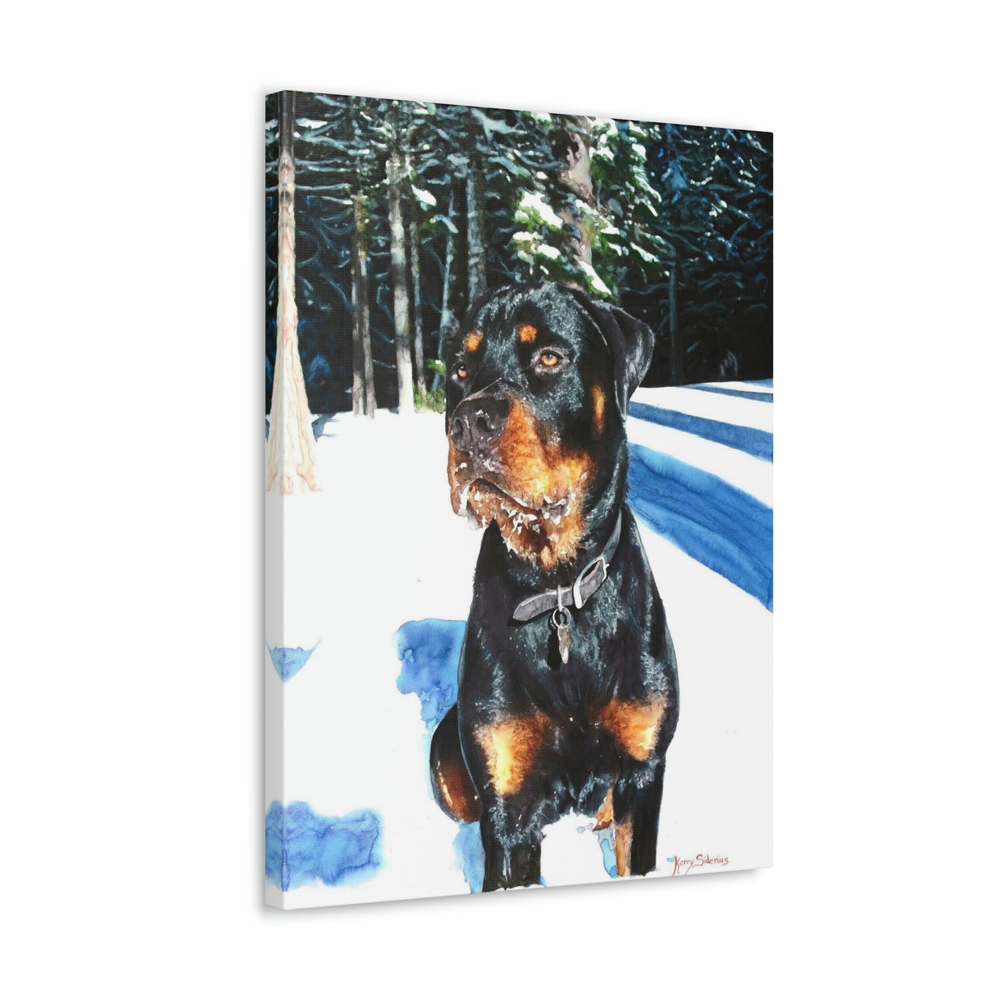 "Rottweiler in the Snow" Gallery Wrapped Canvas - Kerry Siderius Art