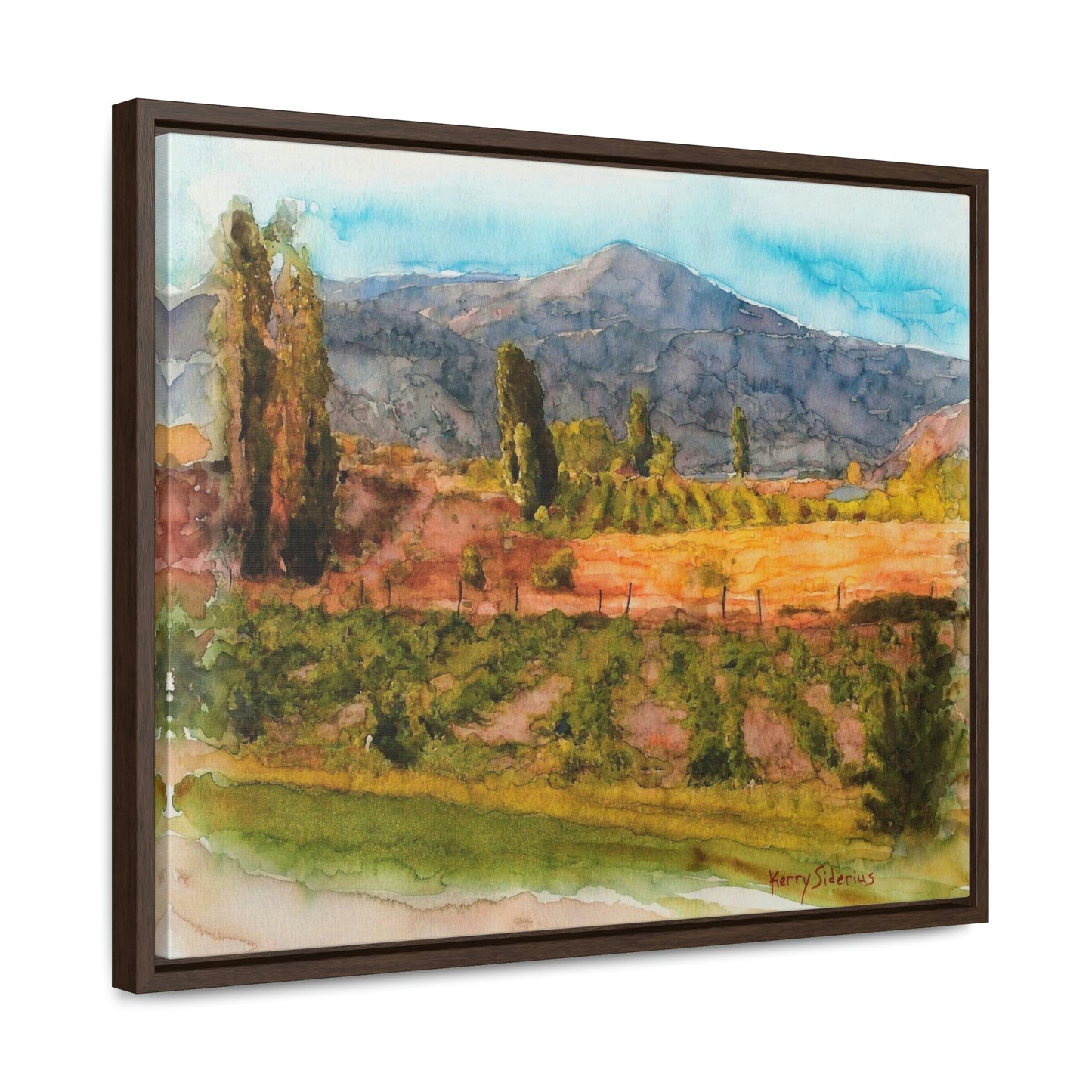 "Vineyard Near Chelan Falls" Gallery Wrapped Wood Framed Canvas - Kerry Siderius Art