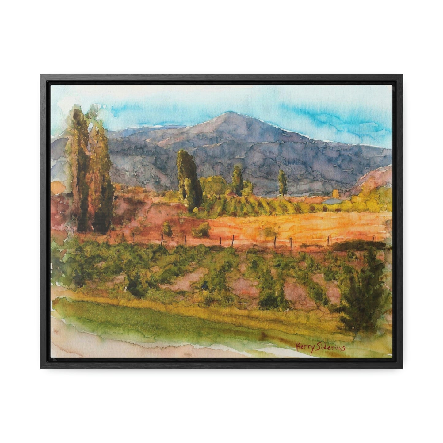 "Vineyard Near Chelan Falls" Gallery Wrapped Wood Framed Canvas - Kerry Siderius Art