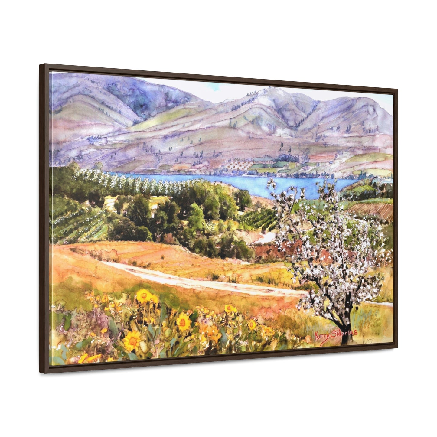 "Springtime Above Lake Chelan from Winesap Road" Wood-Framed Gallery Wrapped Canvas - Kerry Siderius Art