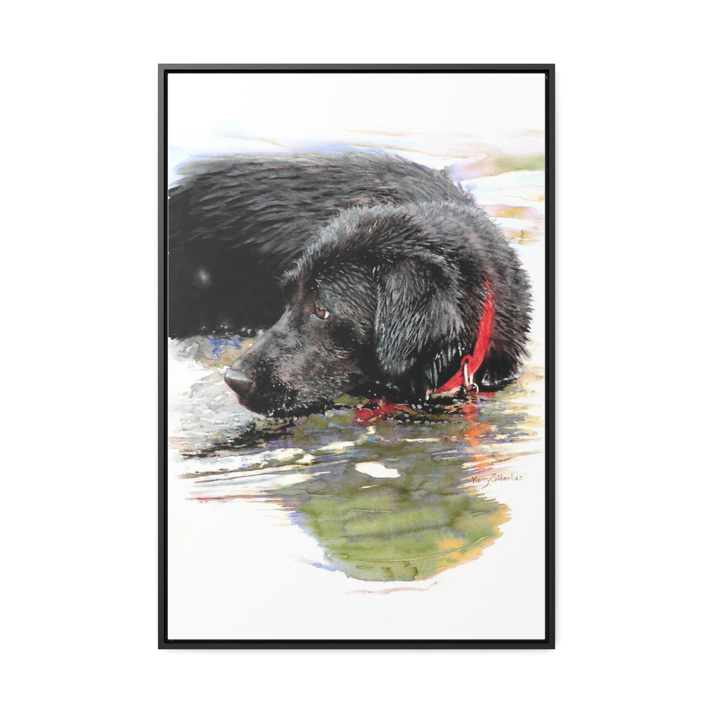 "Fishing and Fetching Black Lab, Chelan" Framed Gallery Wrapped Canvas - Kerry Siderius Art