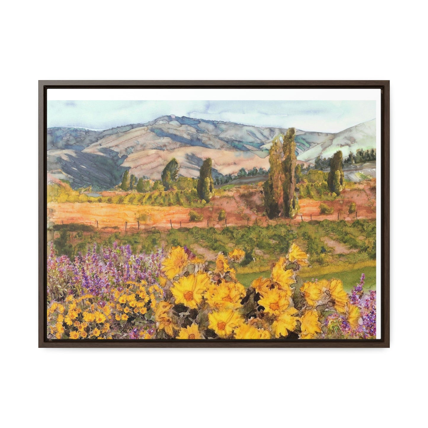 "Chelan Vineyard with Balsom" Wood-Framed Gallery Canvas Wrap - Kerry Siderius Art