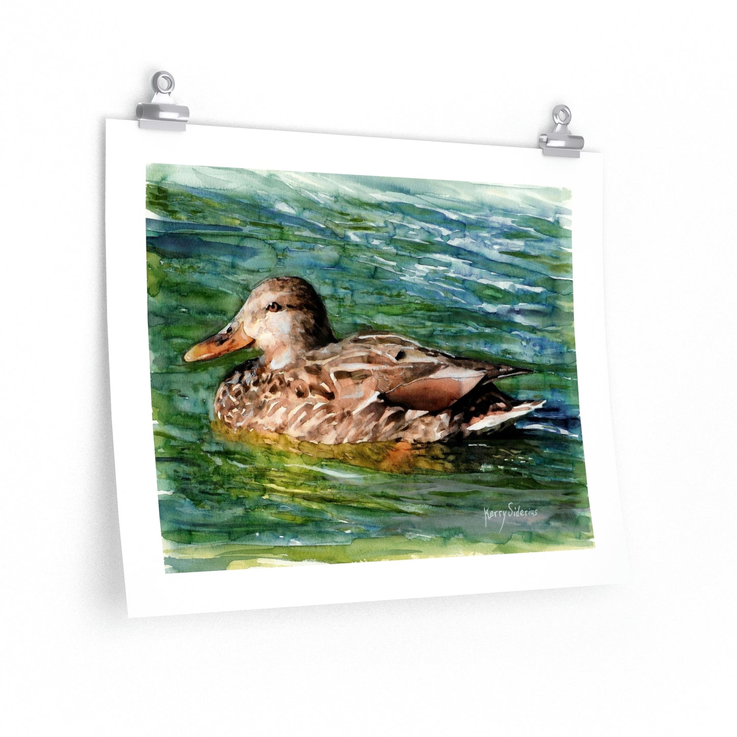 "Mama Duck On Lake Chelan" Premium Poster Print (3 Sizes) - Kerry Siderius Art