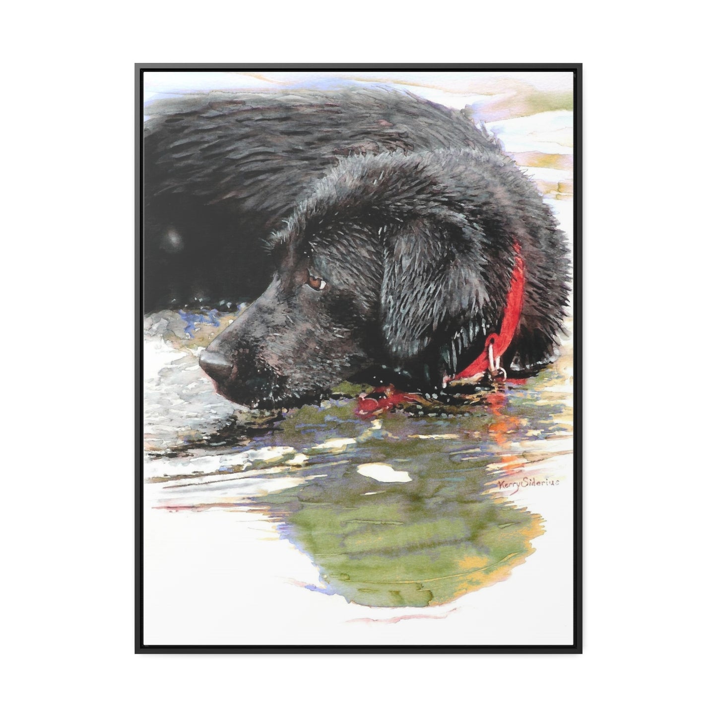 "Fishing and Fetching Black Lab, Chelan" Framed Gallery Wrapped Canvas - Kerry Siderius Art