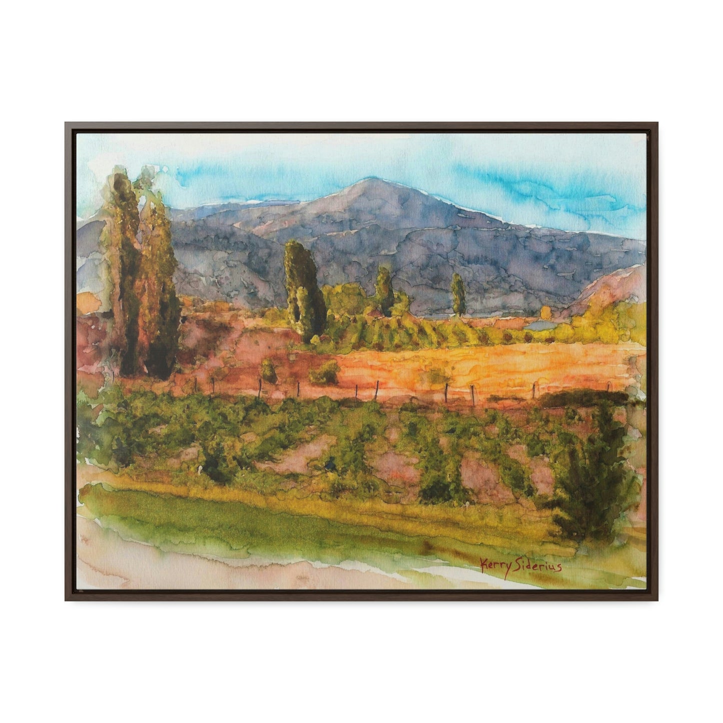 "Vineyard Near Chelan Falls" Gallery Wrapped Wood Framed Canvas - Kerry Siderius Art
