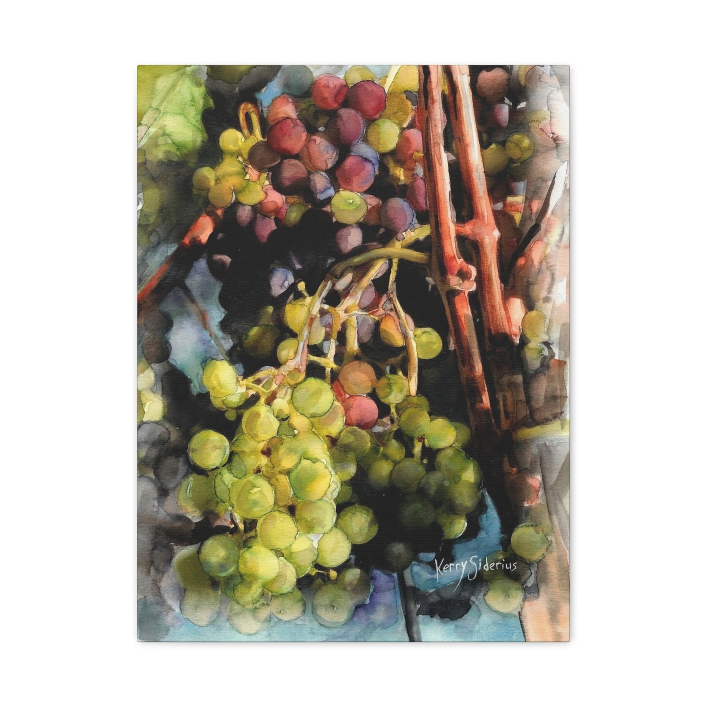 "Wine Grapes Getting Some Color" Matte Canvas, Stretched, 1.25" - Kerry Siderius Art