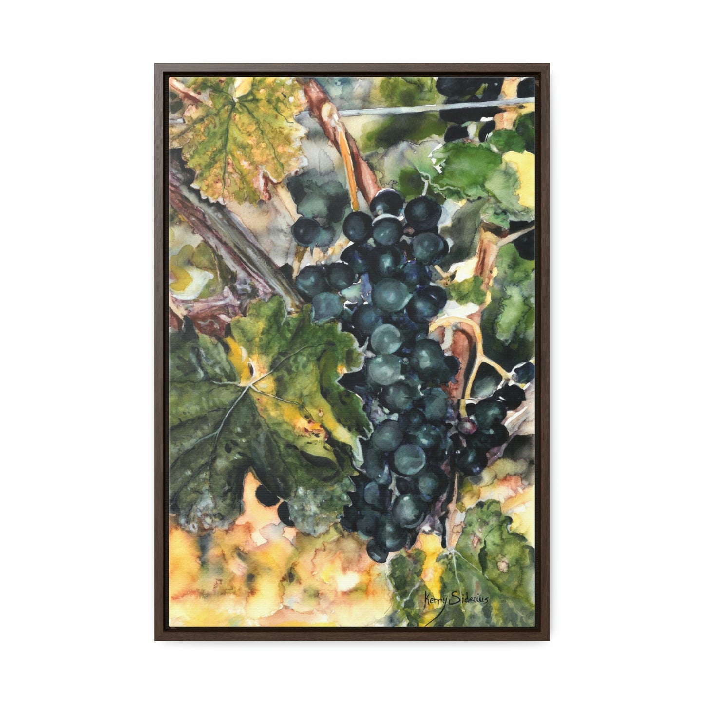 "Merlot Grapes in Manson" Gallery Wrapped Wood Framed Canvas - Kerry Siderius Art