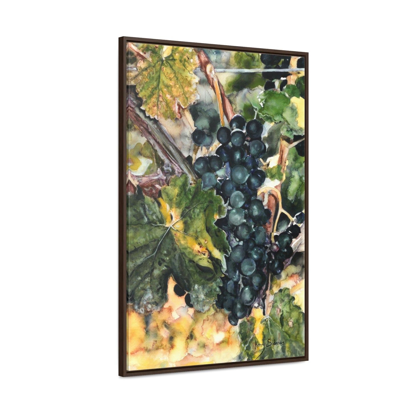 "Merlot Grapes in Manson" Gallery Wrapped Wood Framed Canvas - Kerry Siderius Art