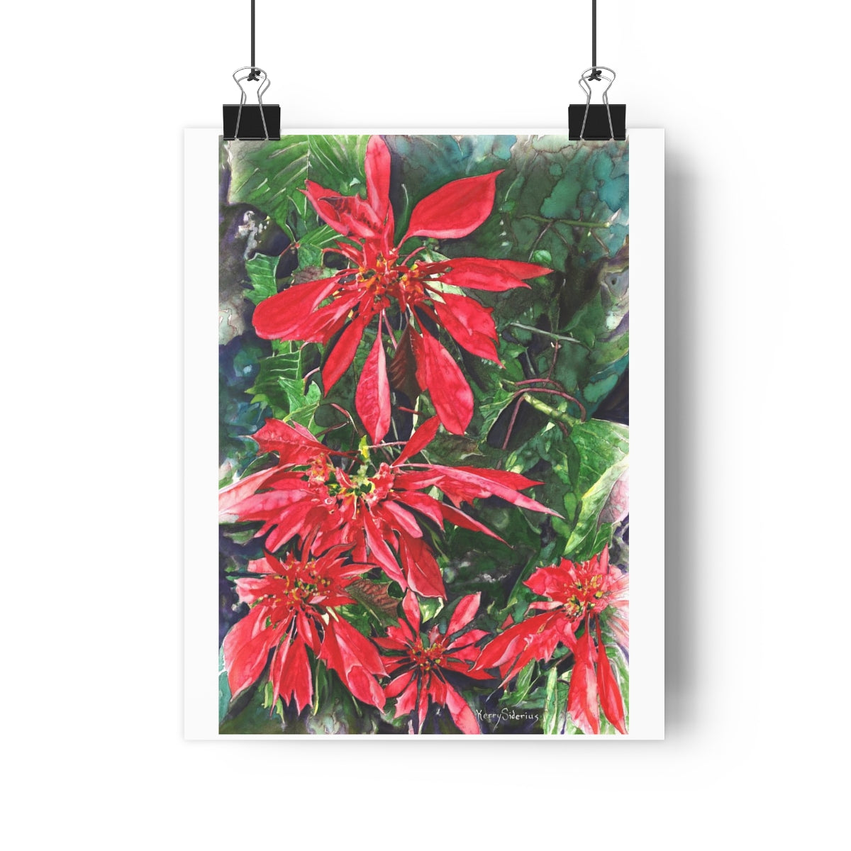 "Poinsettia Blooms" Archival Poster Print - Kerry Siderius Art