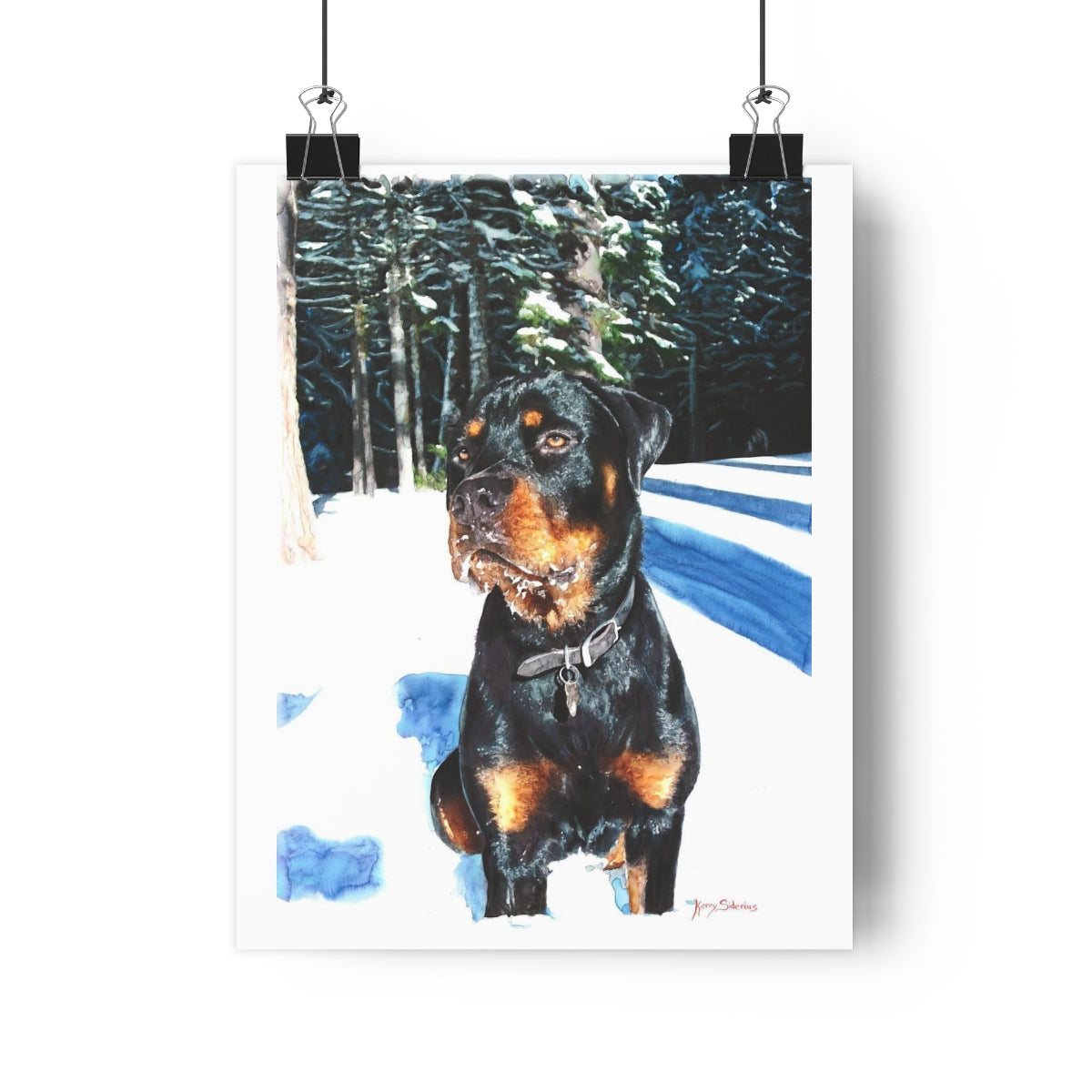 "Rottweiler In The Snow" Archival Poster Print (5 Sizes) - Kerry Siderius Art