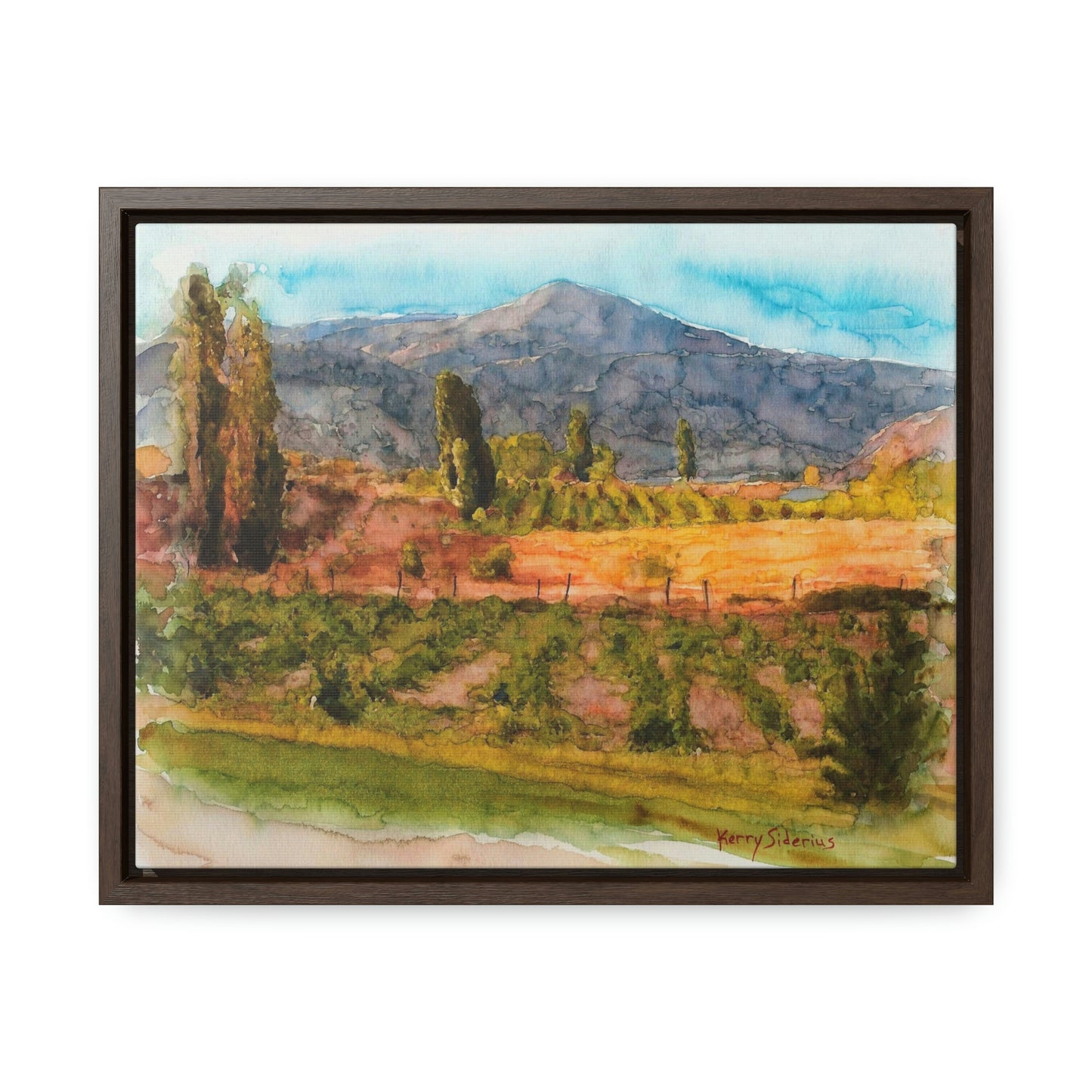 "Vineyard Near Chelan Falls" Gallery Wrapped Wood Framed Canvas - Kerry Siderius Art